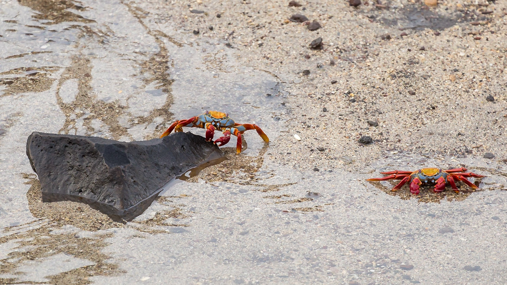 San Cristóbal Canton, Galápagos, Ecuador [Mar 2022]