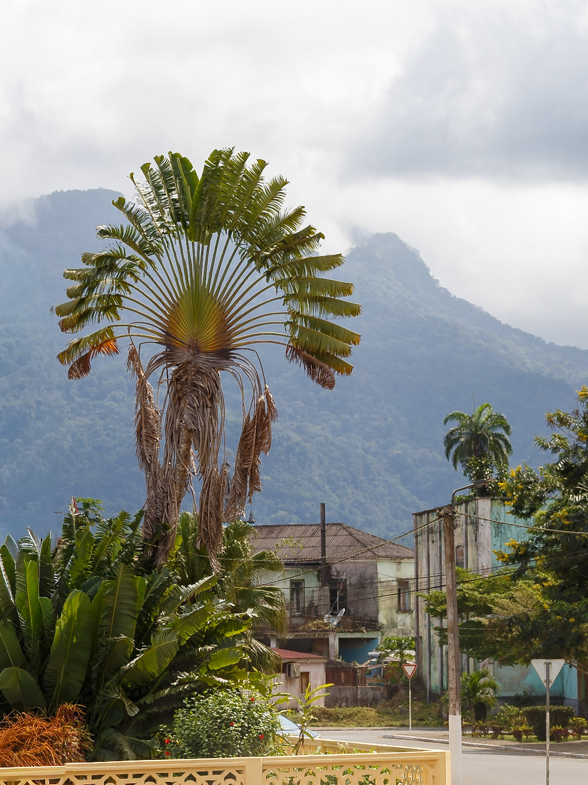 Santo António, Pagué, São Tomé and Príncipe [Feb 2026]