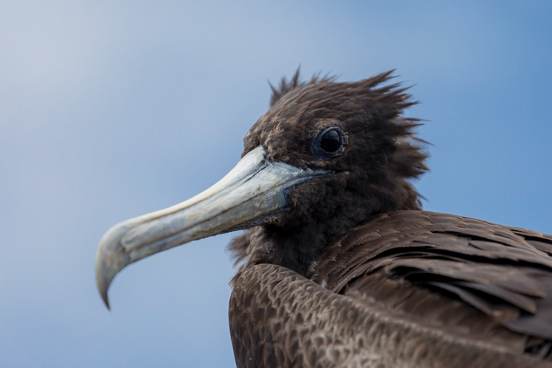 Santa Cruz Canton, Galápagos, Ecuador [Apr 2022]