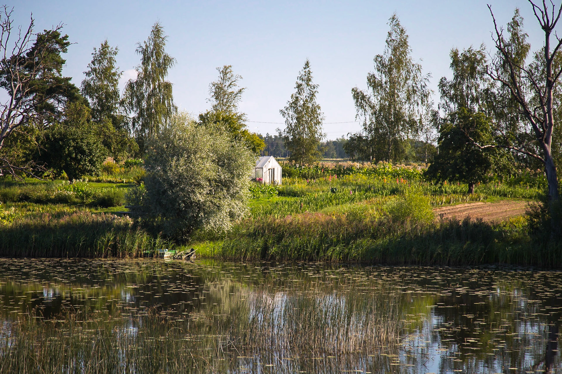 Kandava Parish, Tukums, Latvia [Aug 2020]