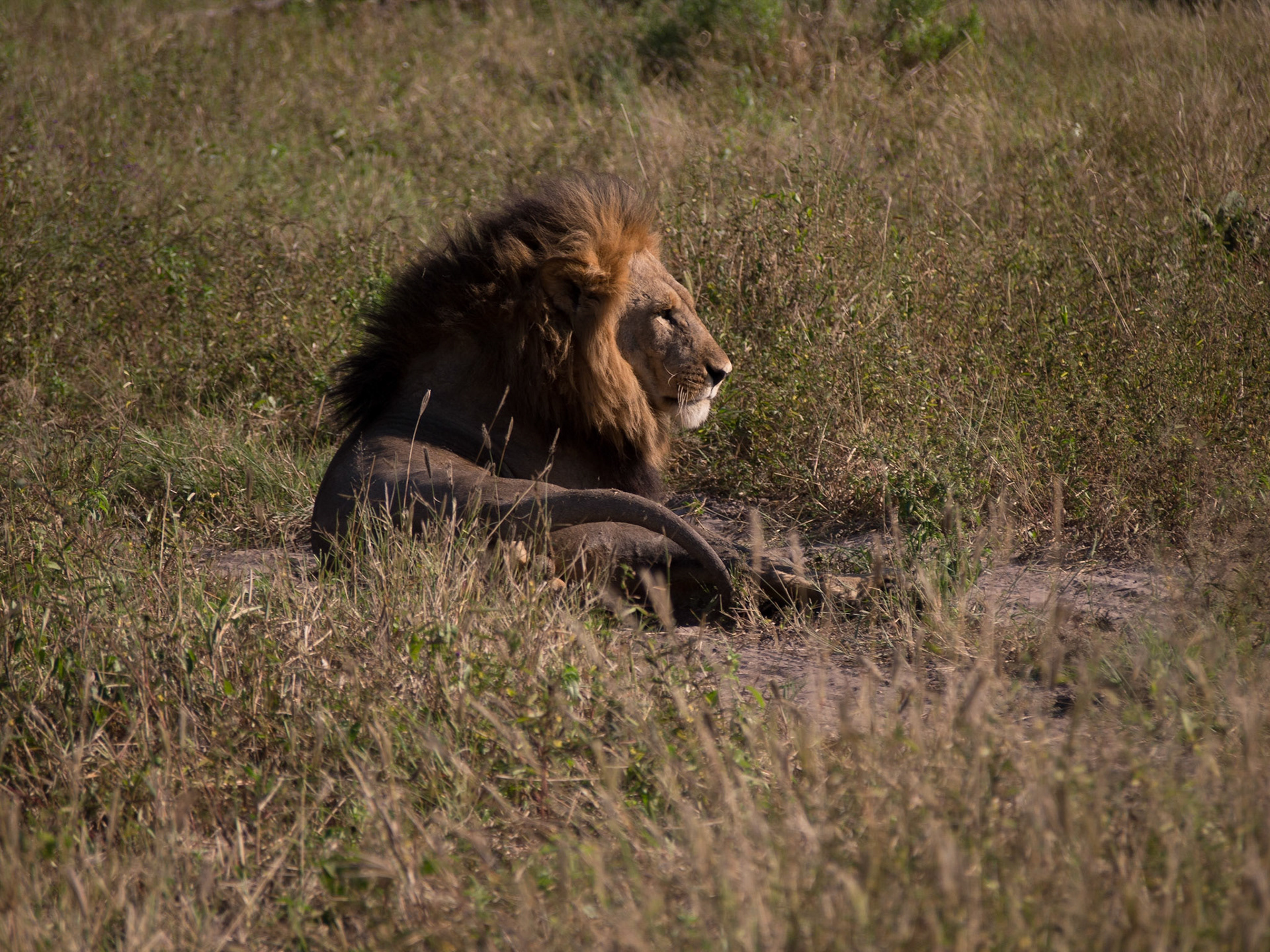 , North West, Botswana [Apr 2014]