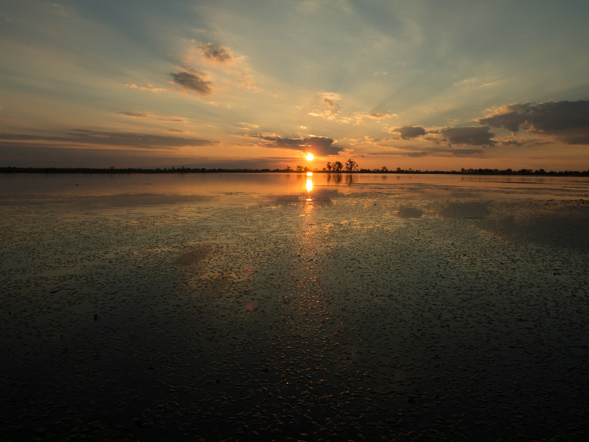 , North West, Botswana [Apr 2014]