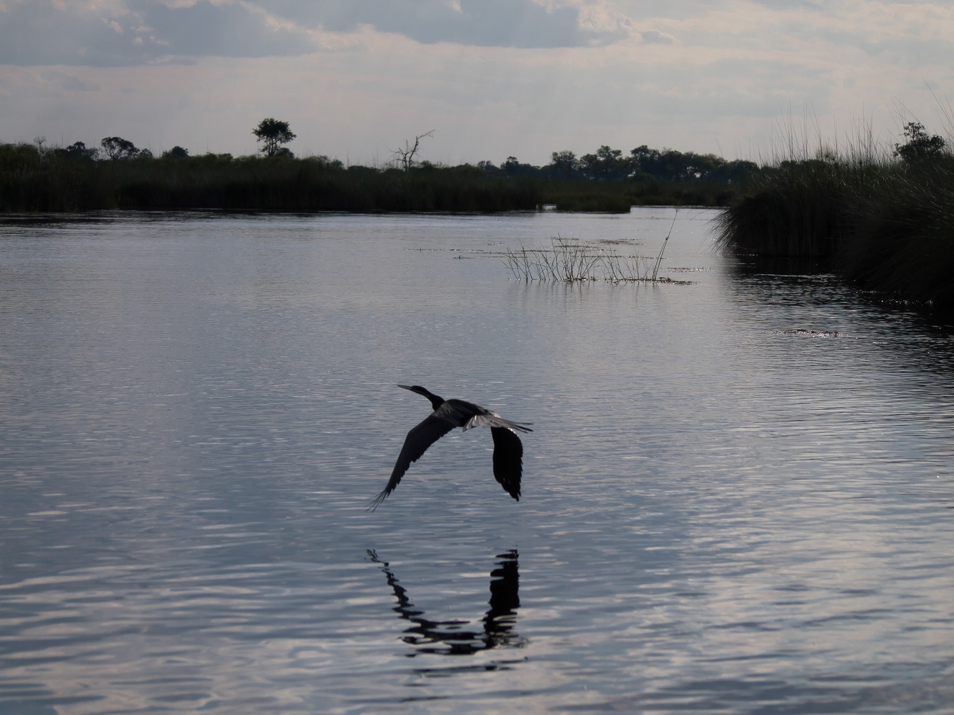 , North West, Botswana [Apr 2014]