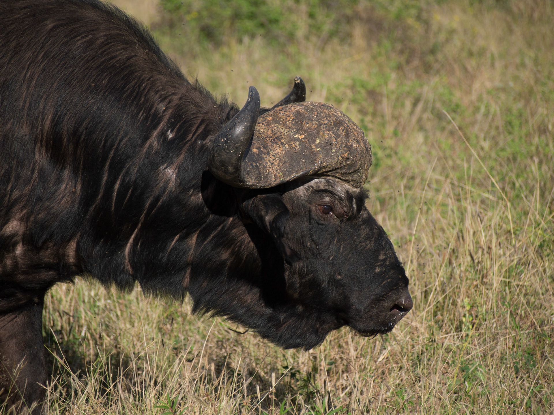 , North West, Botswana [Apr 2014]