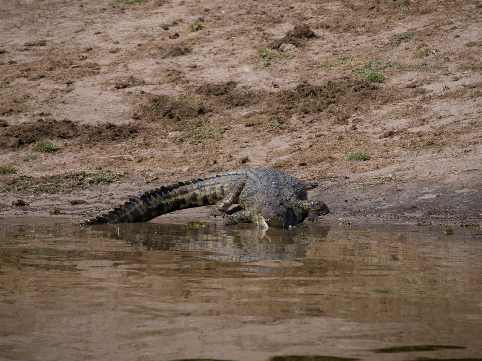 , North West, Botswana [Apr 2014]