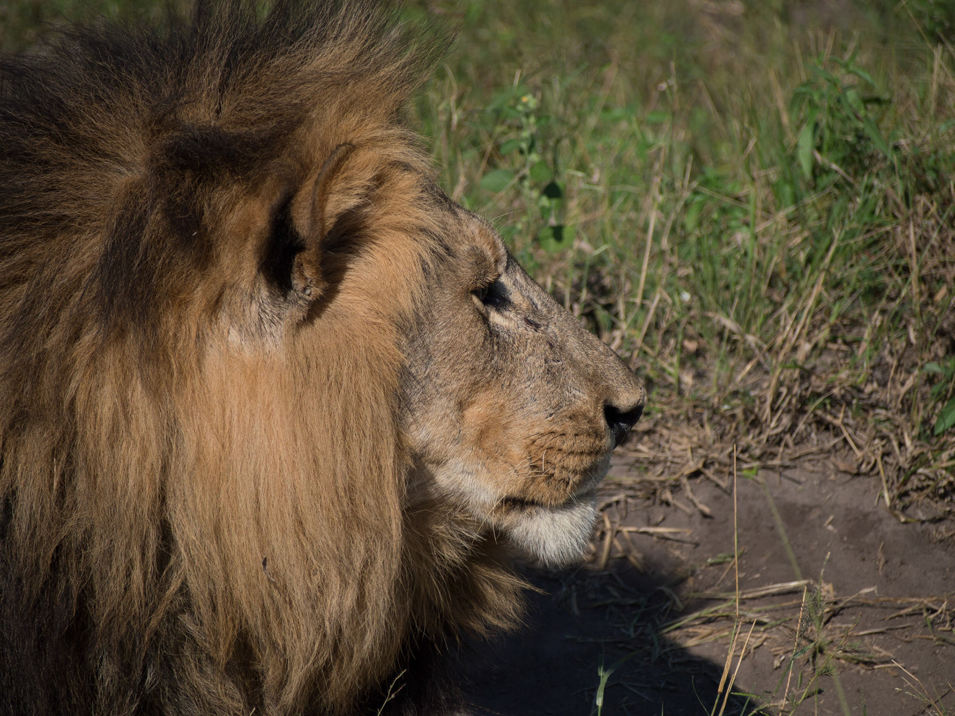 , North West, Botswana [Apr 2014]