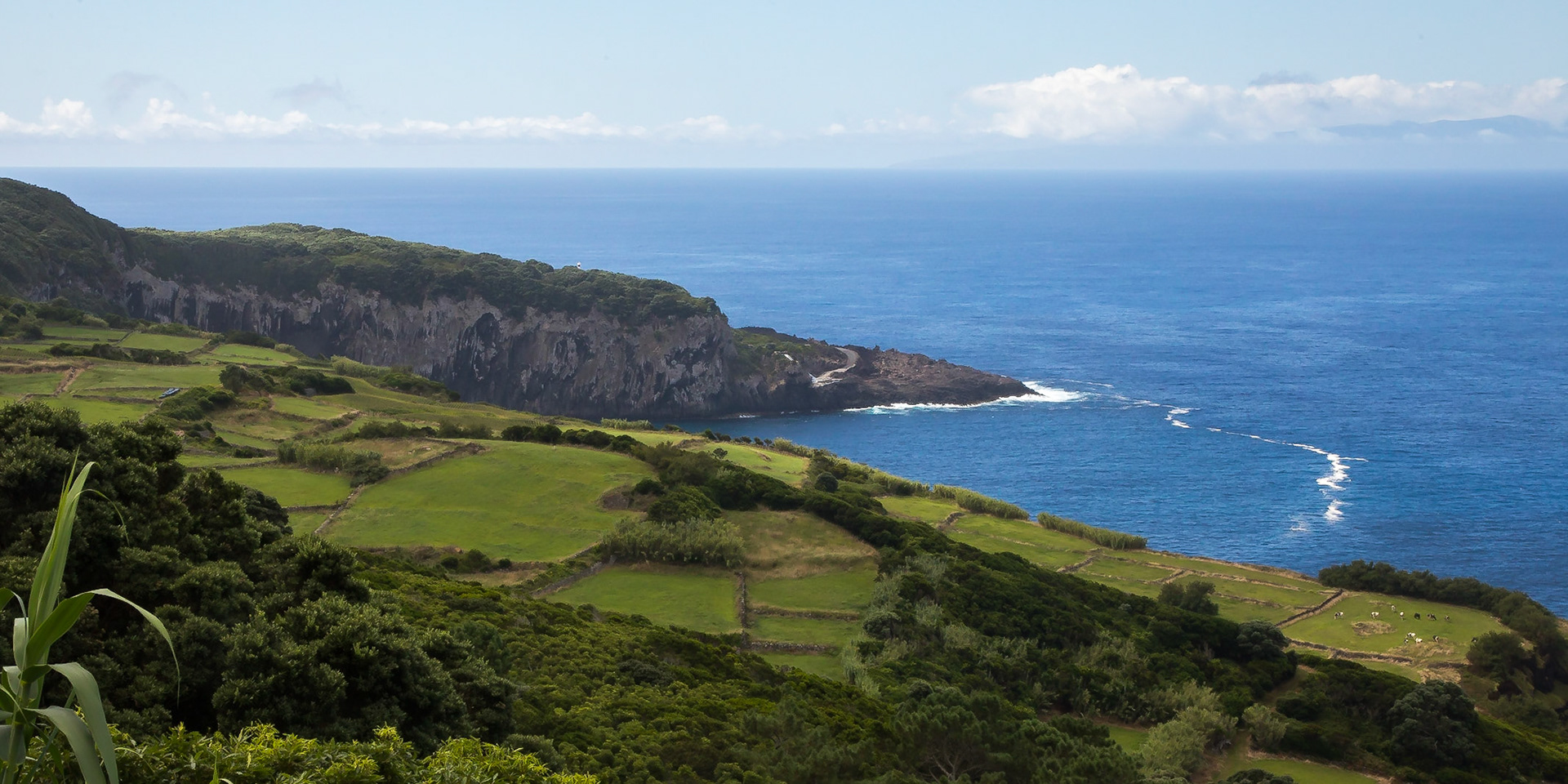 Raminho, Azores, Portugal [Aug 2019]