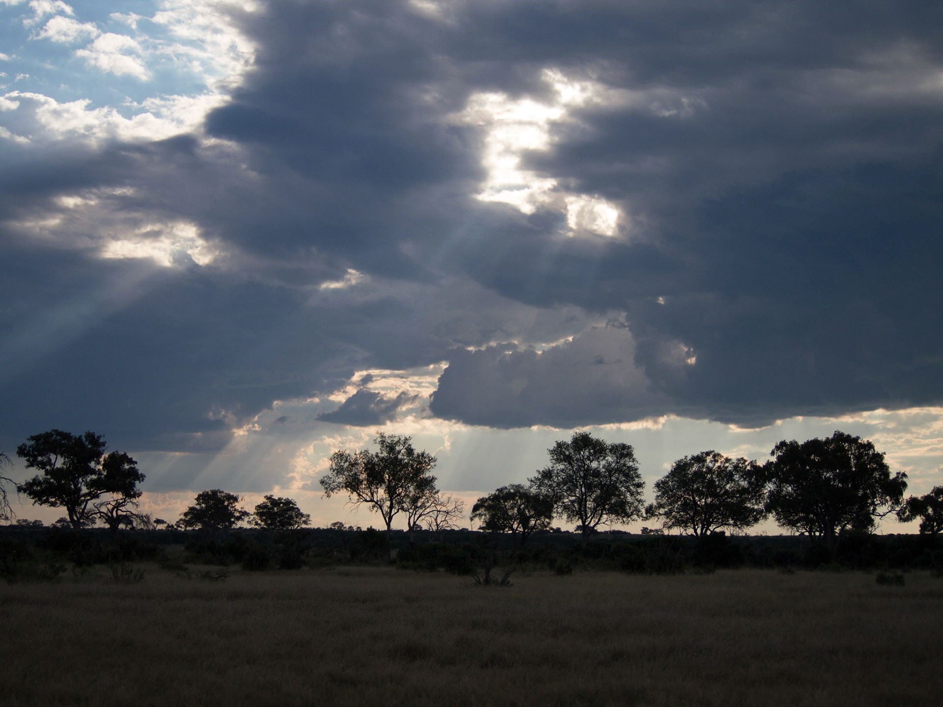 , North West, Botswana [Apr 2014]