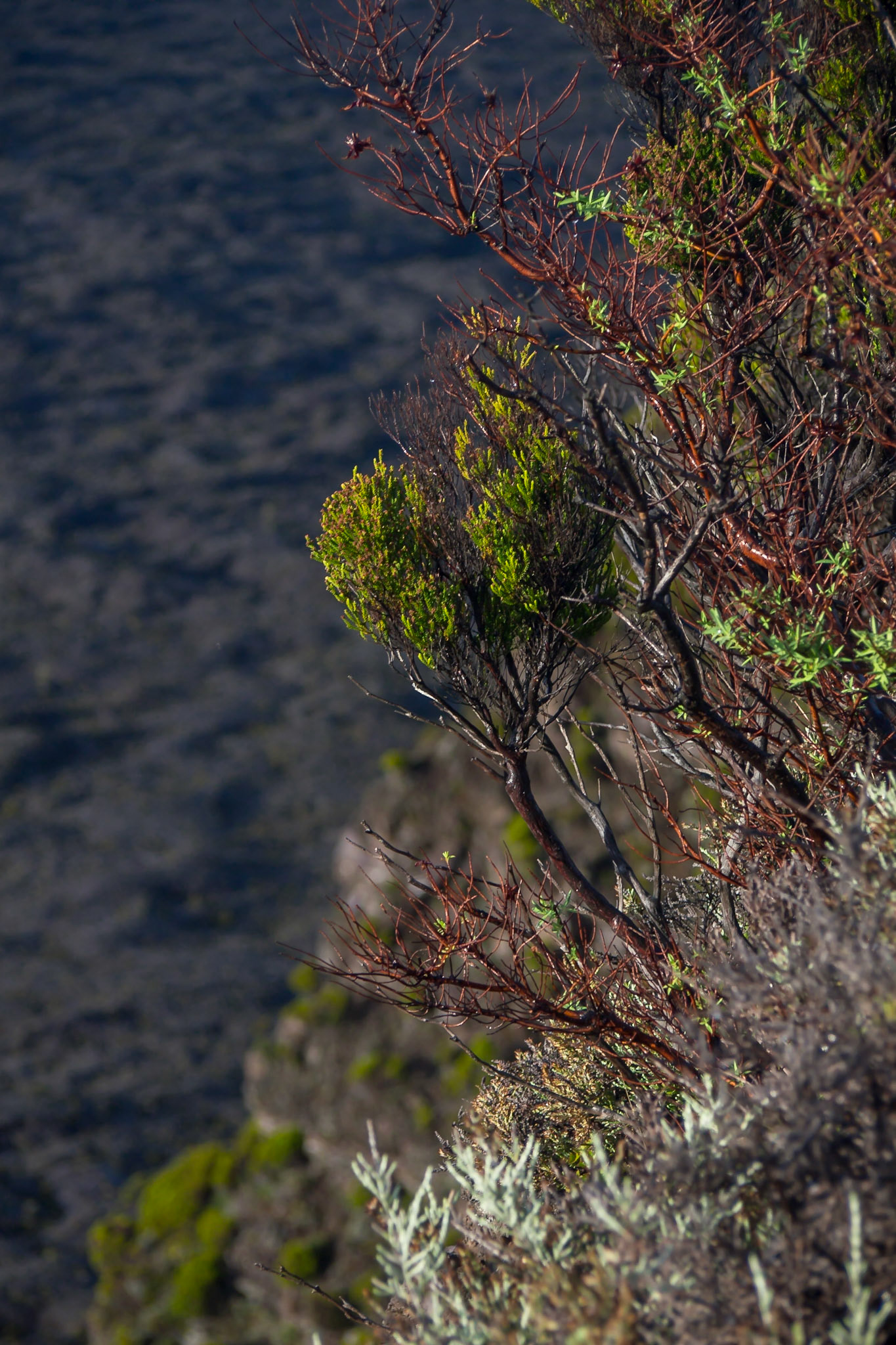 Piton de la Fournaise, Saint-Benoit, Réunion [Apr 2017]