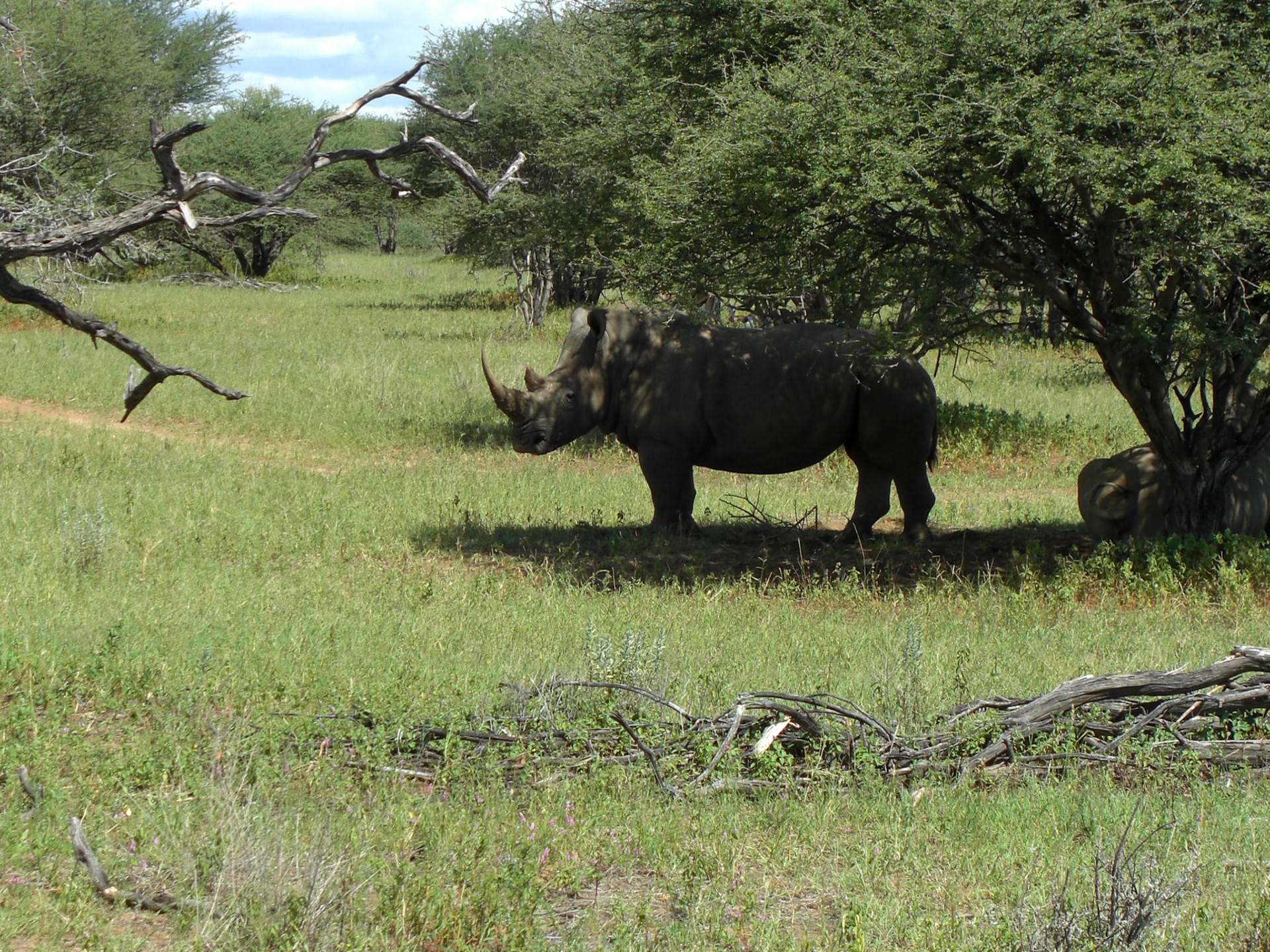 , Khomas, Namibia [Apr 2010]