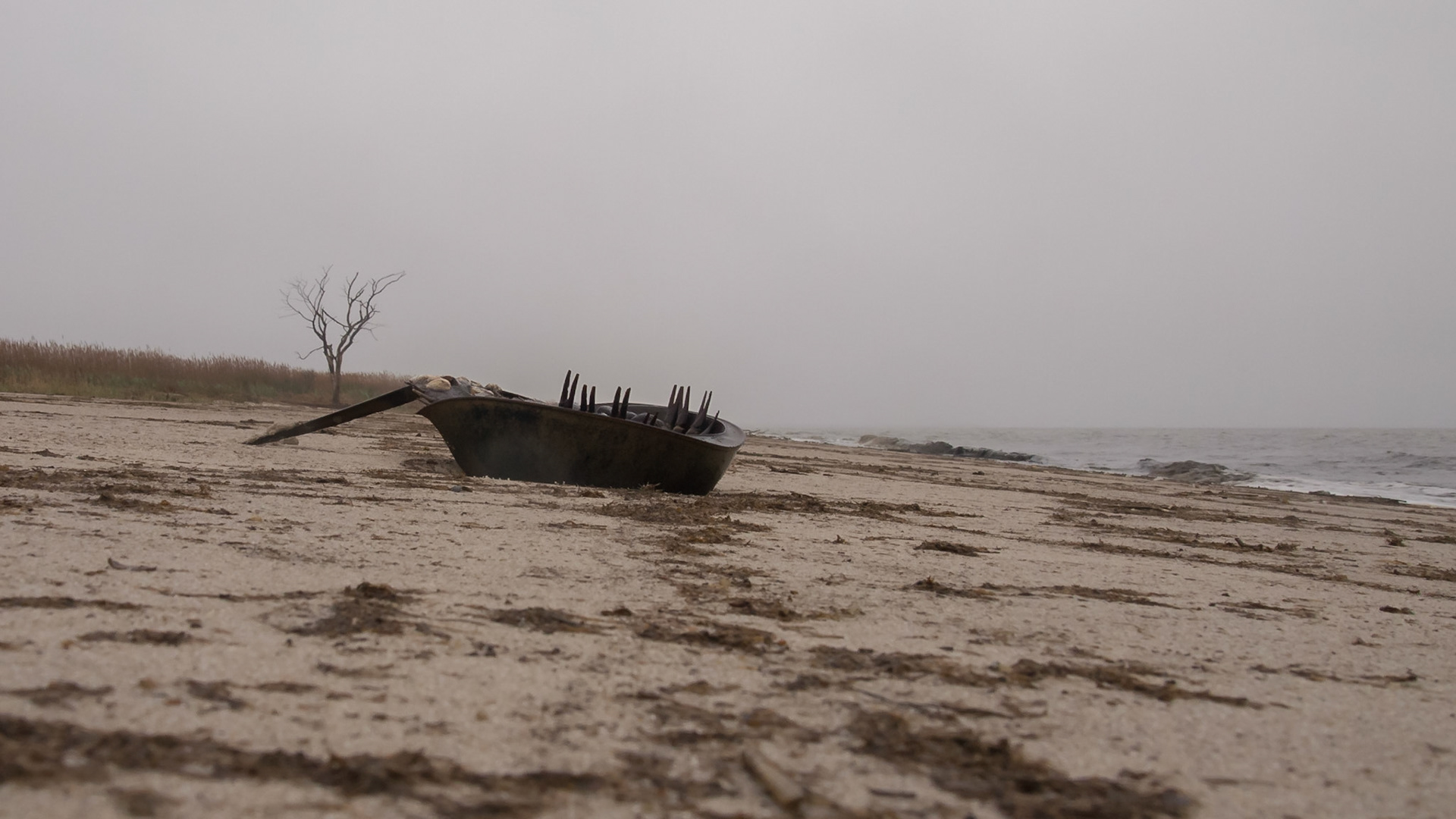 Pickering Beach, Delaware, United States [May 2014]