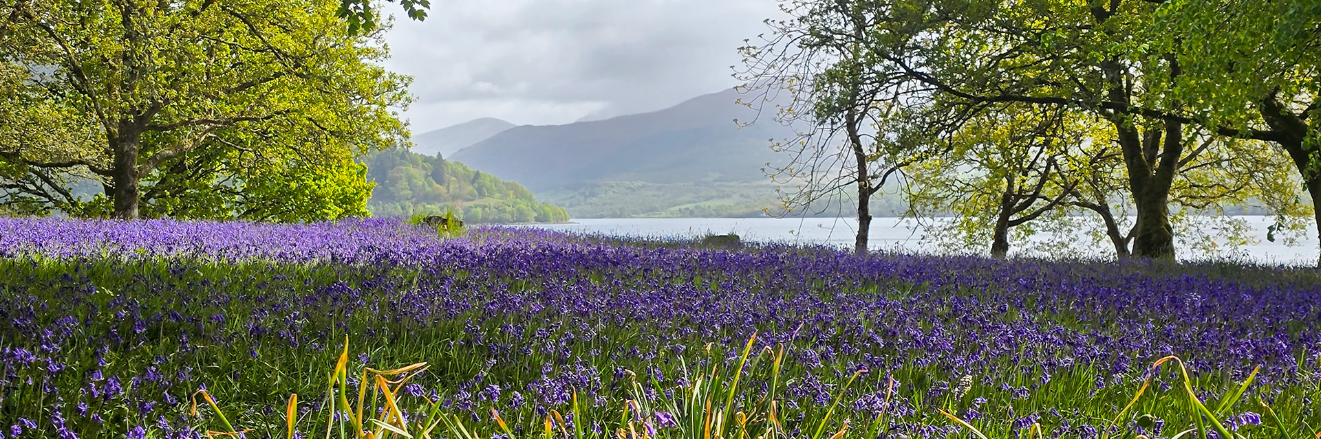 Inveraray, Scotland, United Kingdom [May 2026]