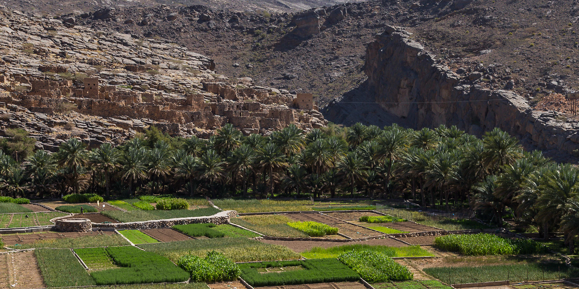 Al Hamra, Ad Dakhiliyah Governorate, Oman [Mar 2018]