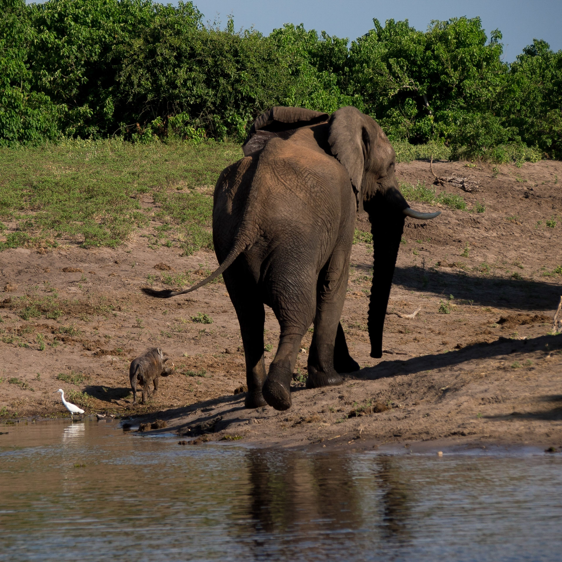 , North West, Botswana [Apr 2014]