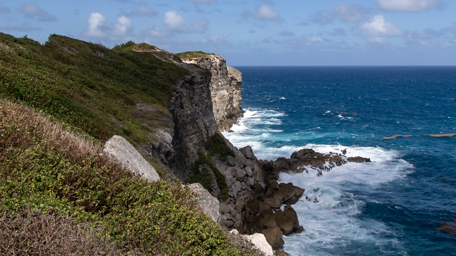 Anse-Bertrand, Grande-Terre, Guadeloupe [Jan 2025]