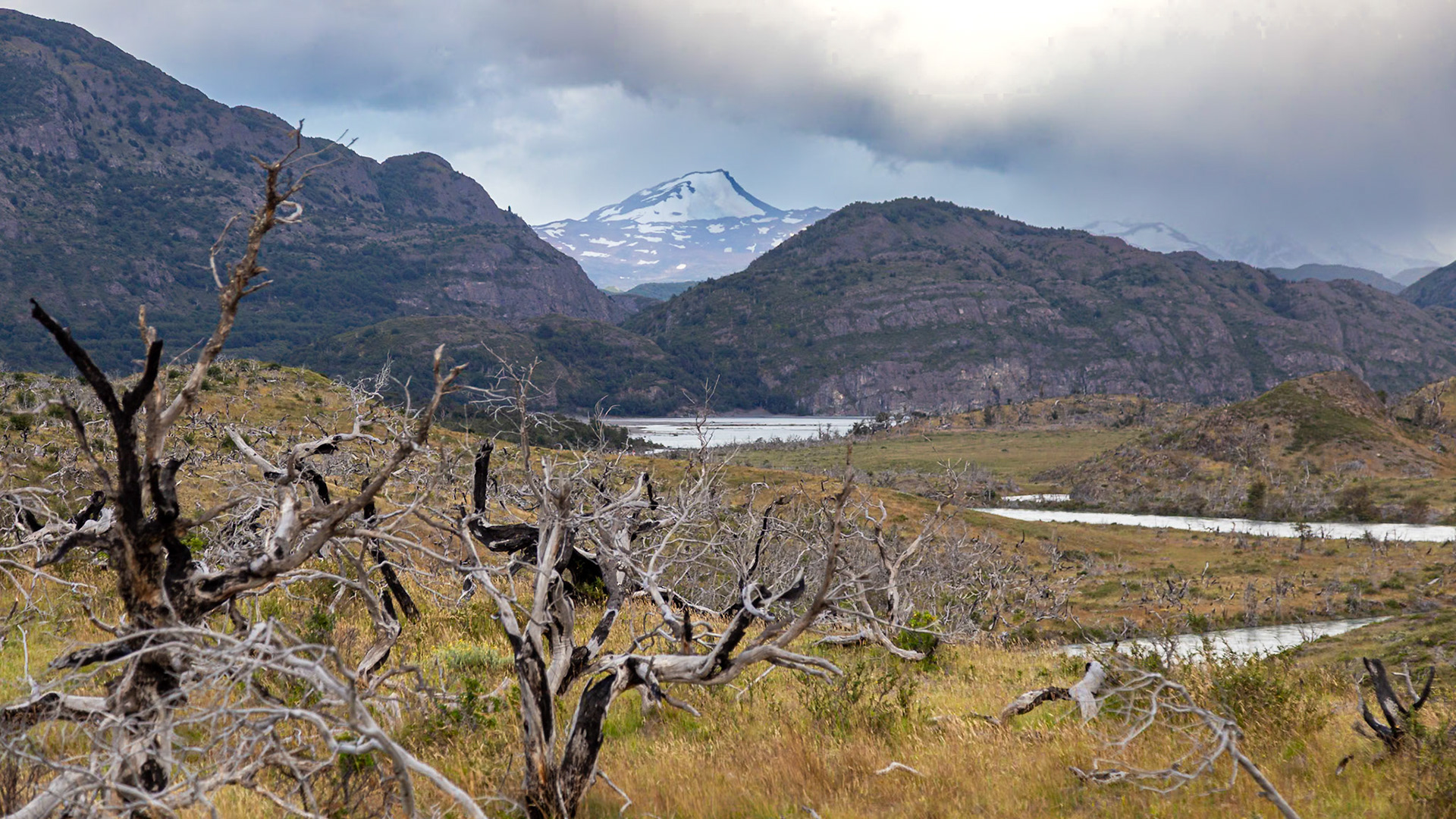 Torres del Paine, Magellan and the Chilean Antarctic, Chile [Jan 2024]