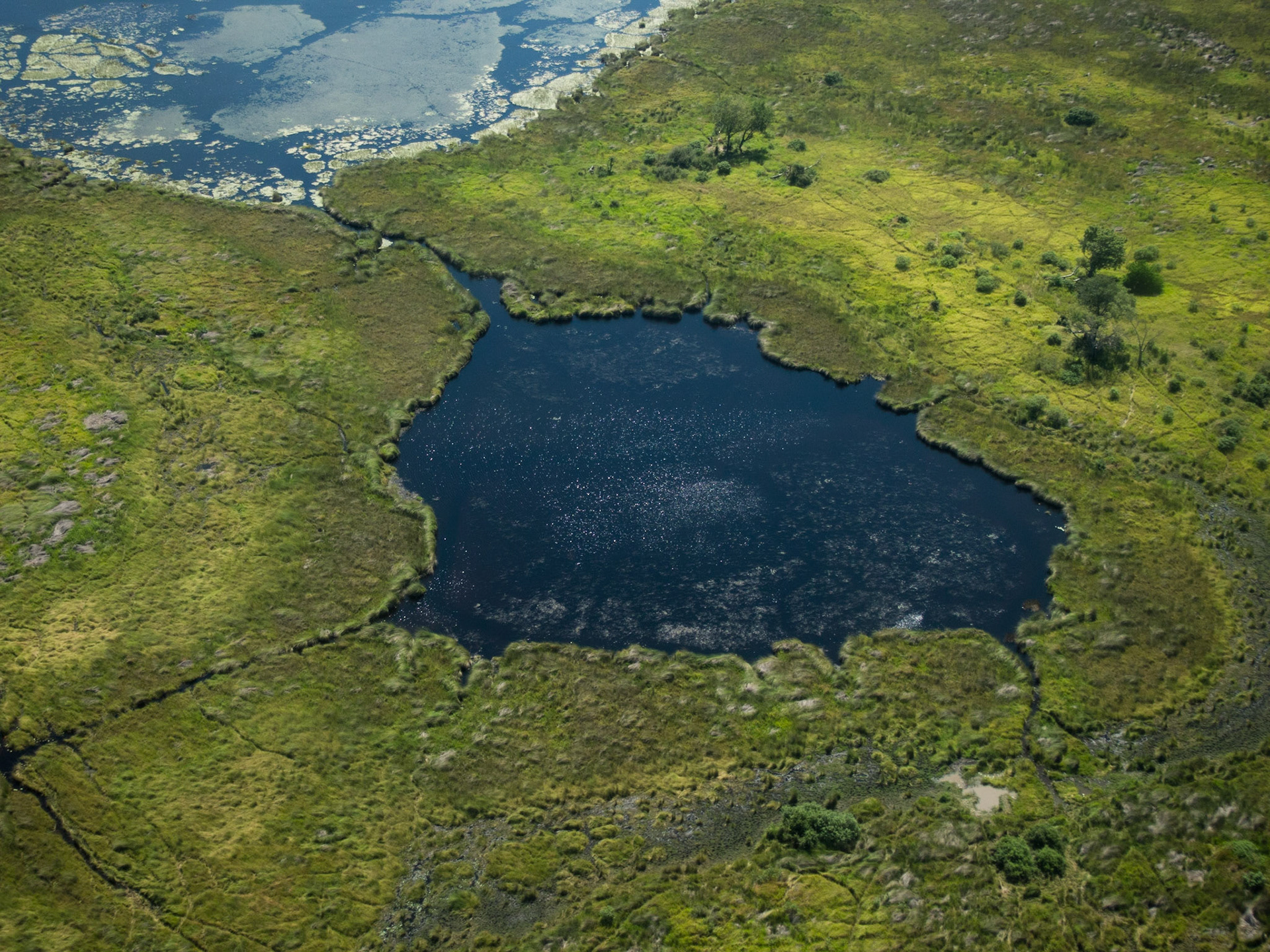 , North West, Botswana [Apr 2014]