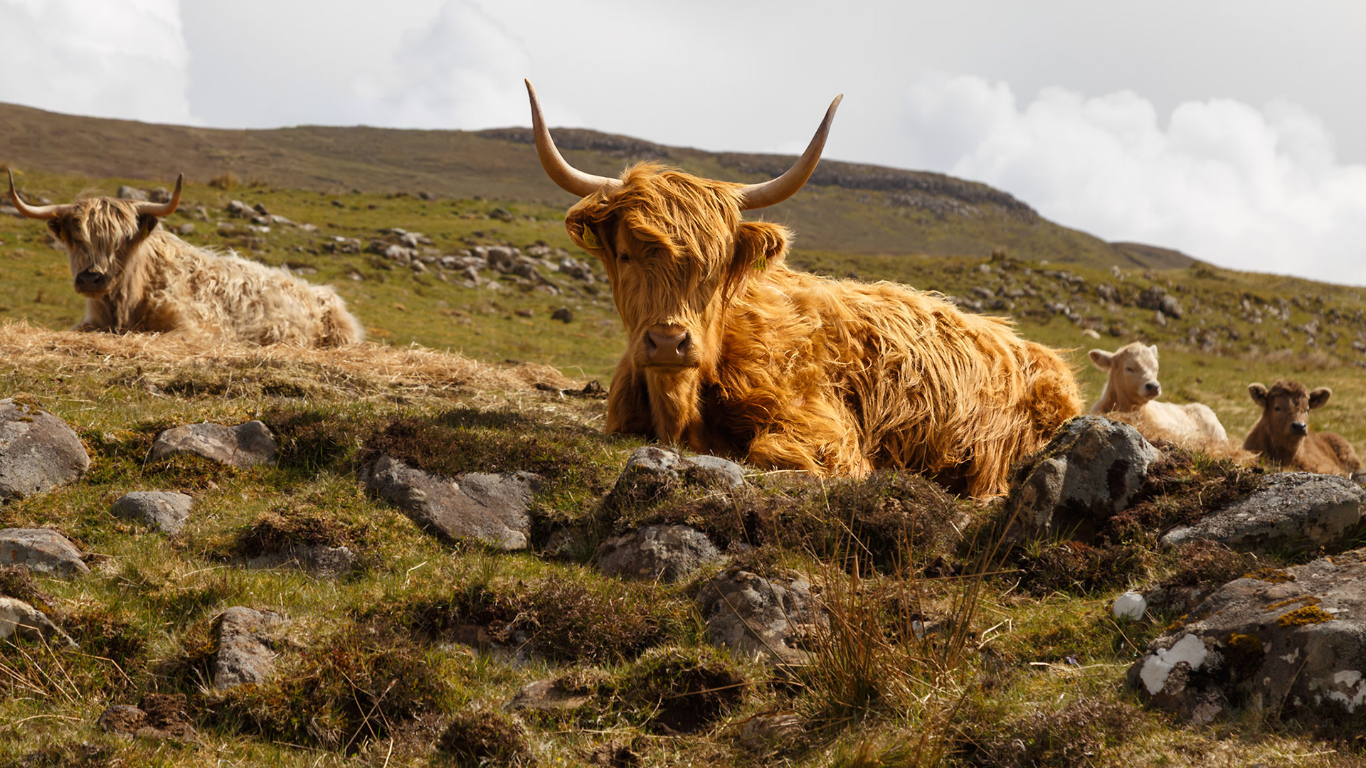 Portree, Scotland, United Kingdom [May 2026]