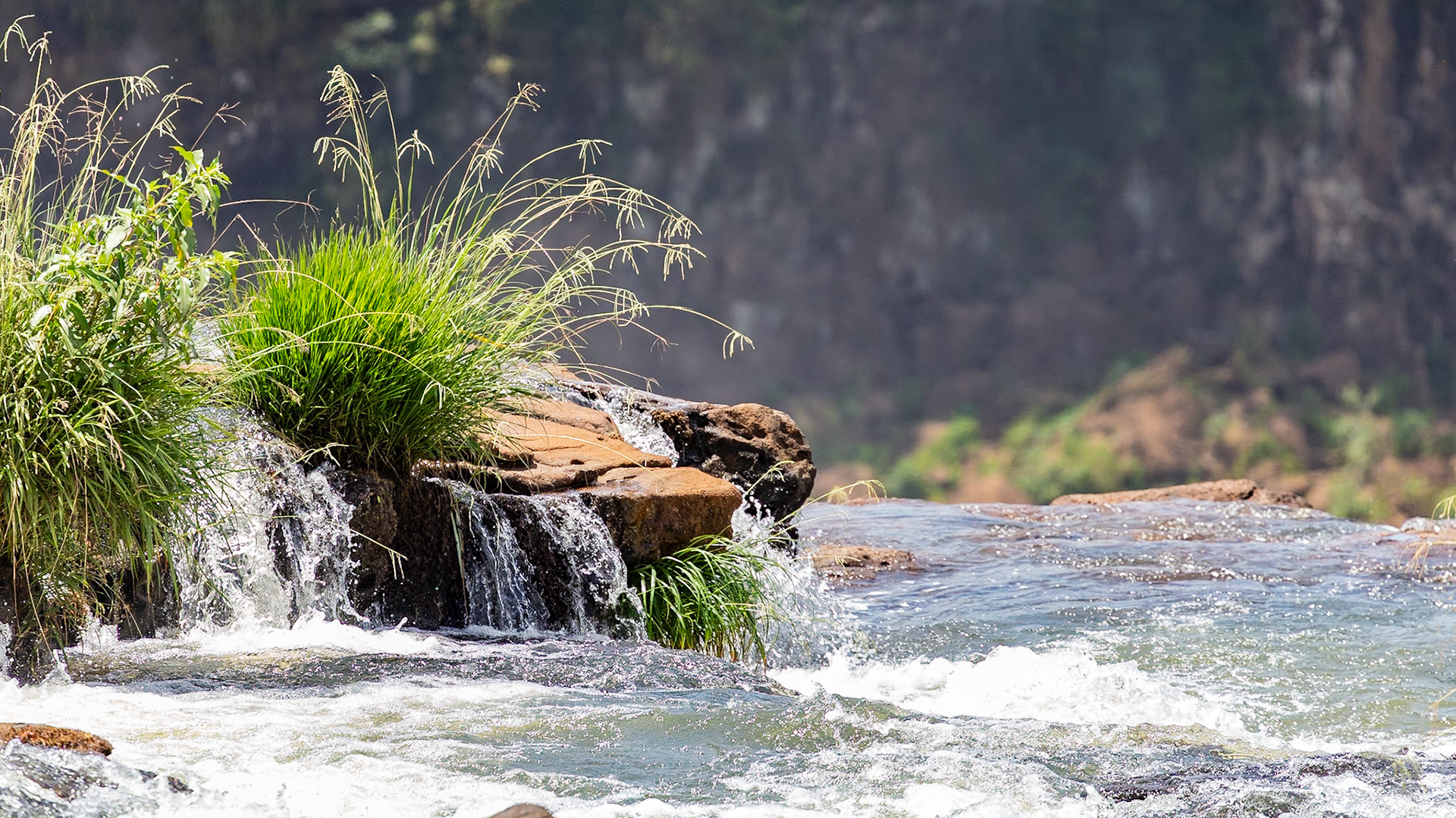 Puerto Iguazú, Misiones, Argentina [Feb 2024]