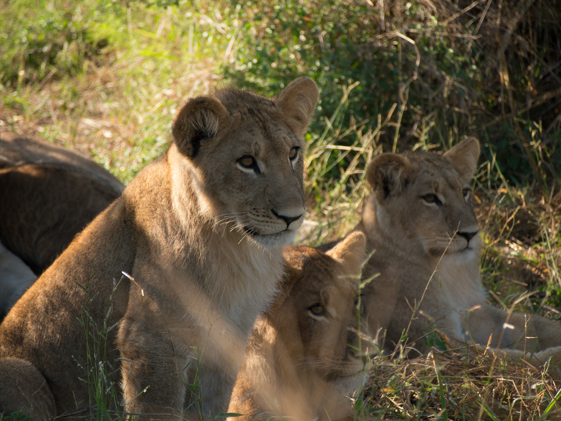 , North West, Botswana [Apr 2014]