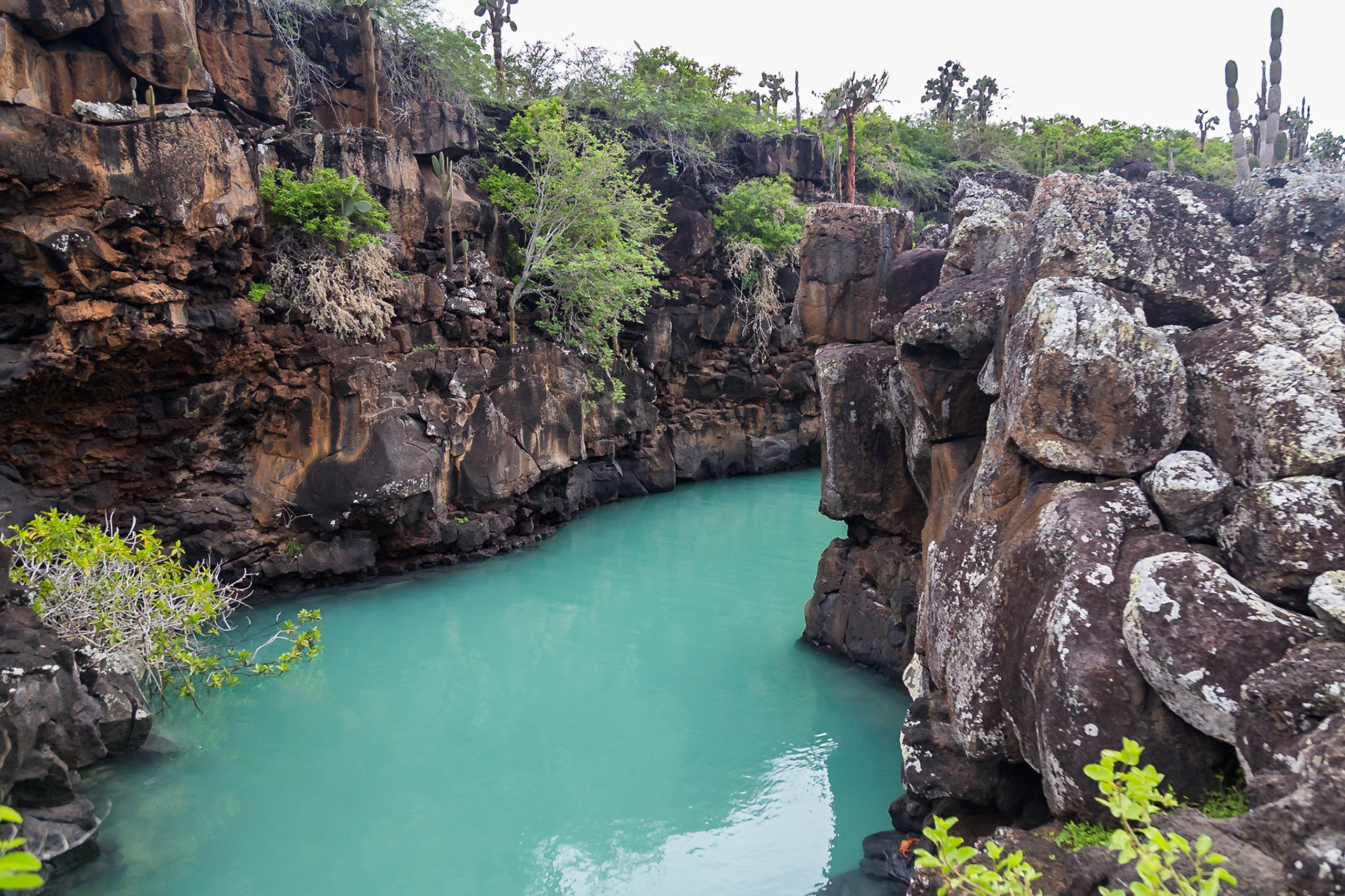 Santa Cruz Canton, Galápagos, Ecuador [Apr 2022]