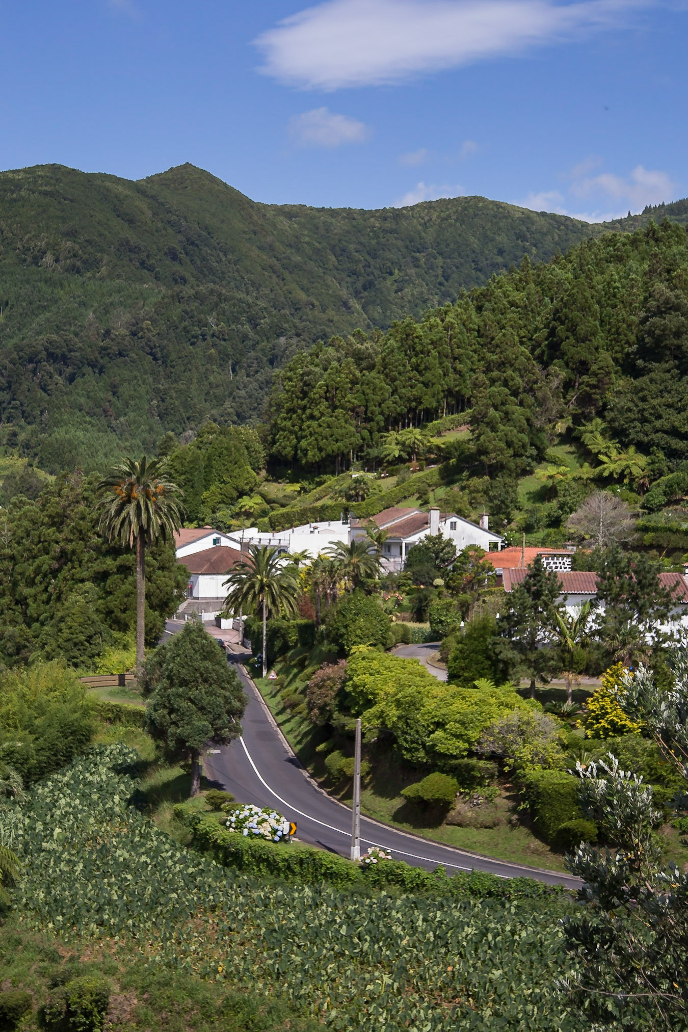 Furnas, Azores, Portugal [Aug 2019]