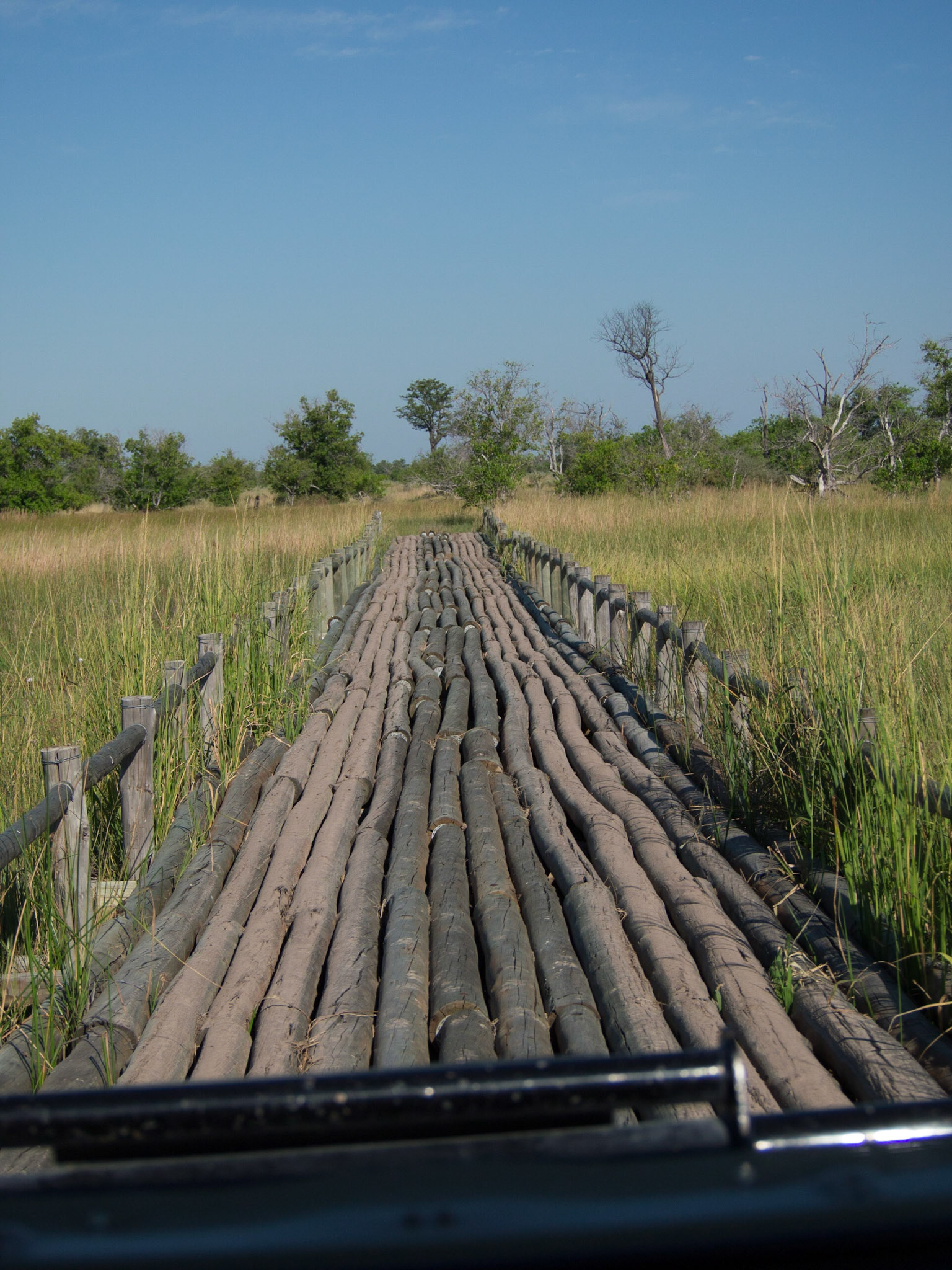 , North West, Botswana [Apr 2014]