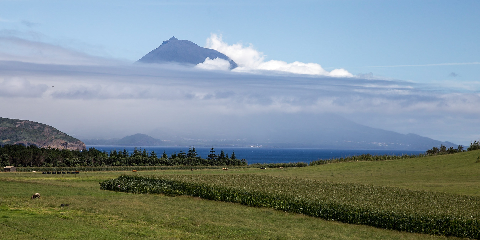 Feteira, Azores, Portugal [Aug 2019]