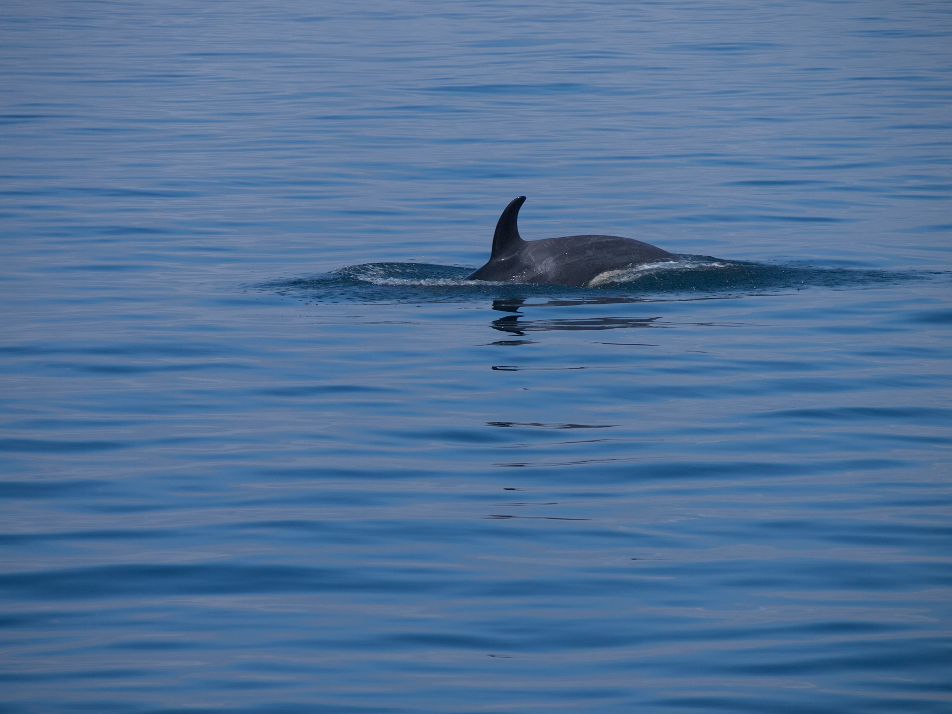 Vancouver Island, British Columbia, Canada [Aug 2014]