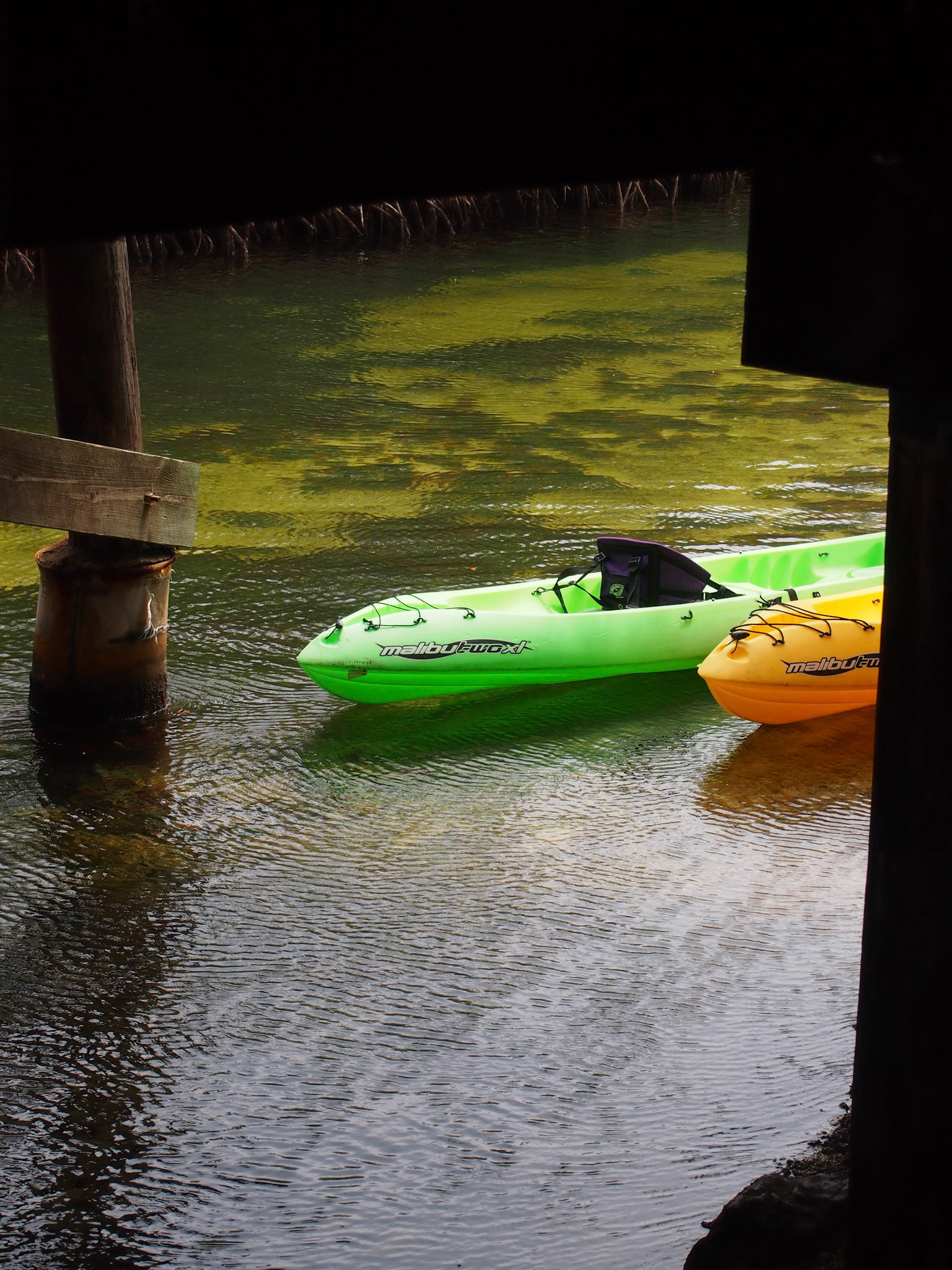 Duck Key, Florida, United States [Apr 2013]