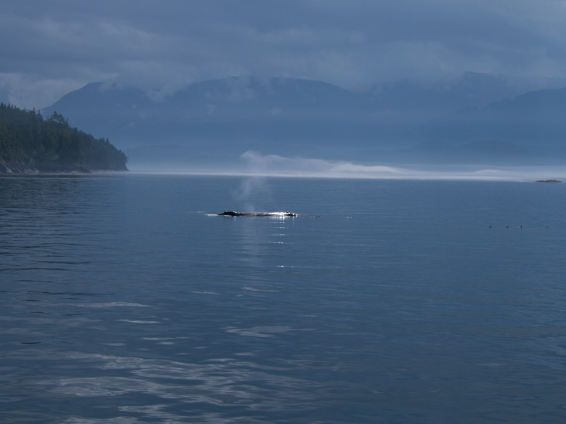Vancouver Island, British Columbia, Canada [Aug 2014]