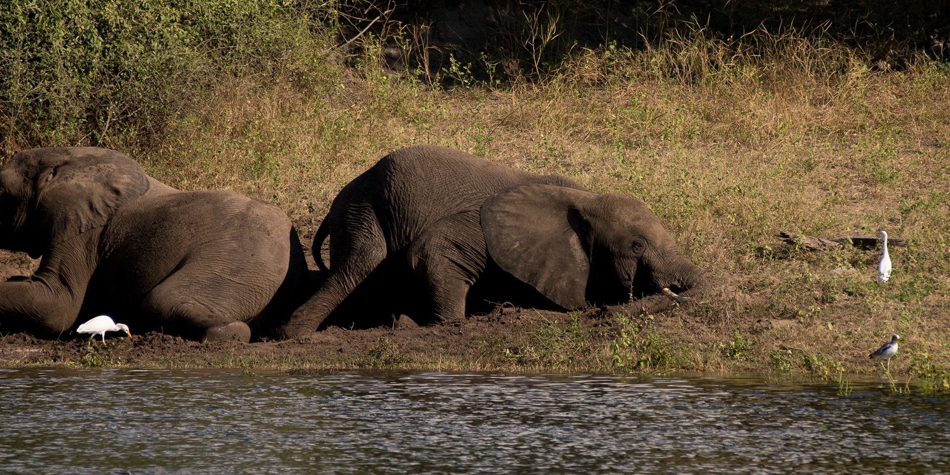 , North West, Botswana [Apr 2014]