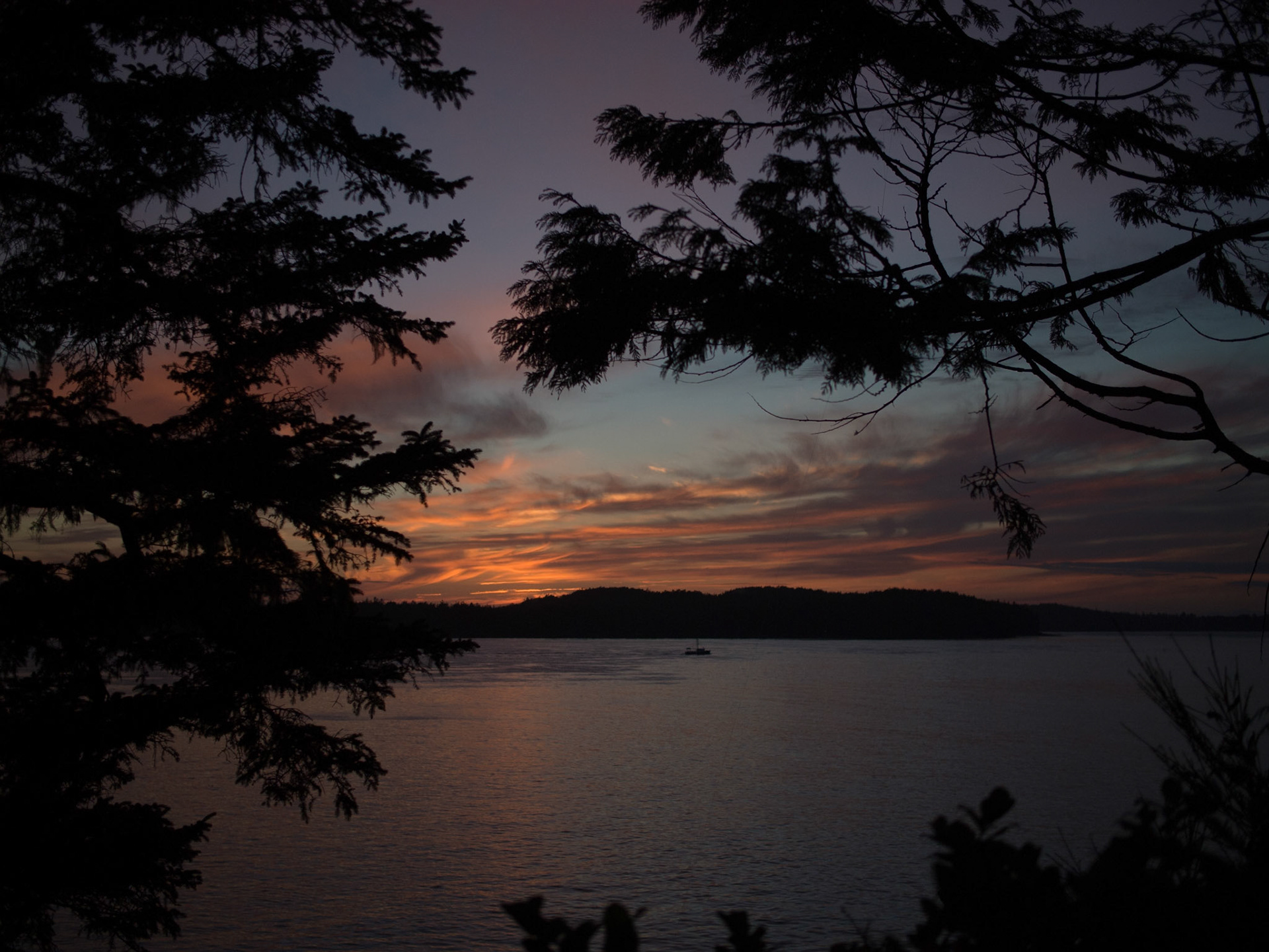 Tofino, British Columbia, Canada [Sept 2014]