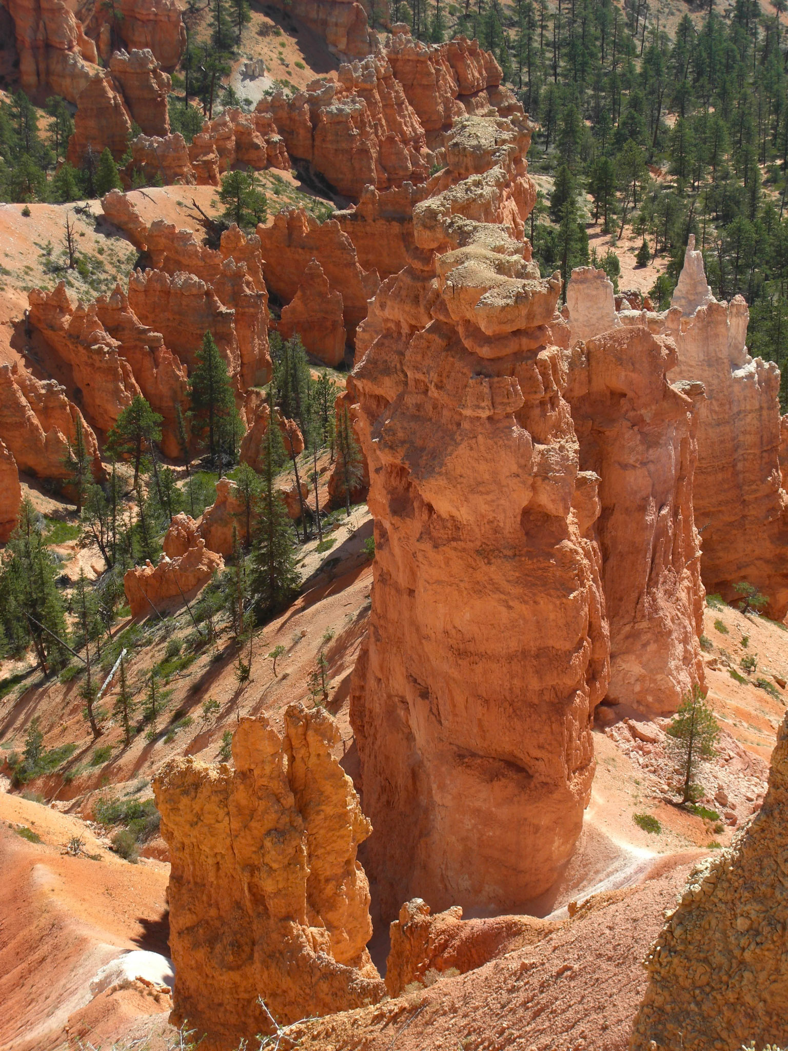 Tropic, Utah, United States [Aug 2008]