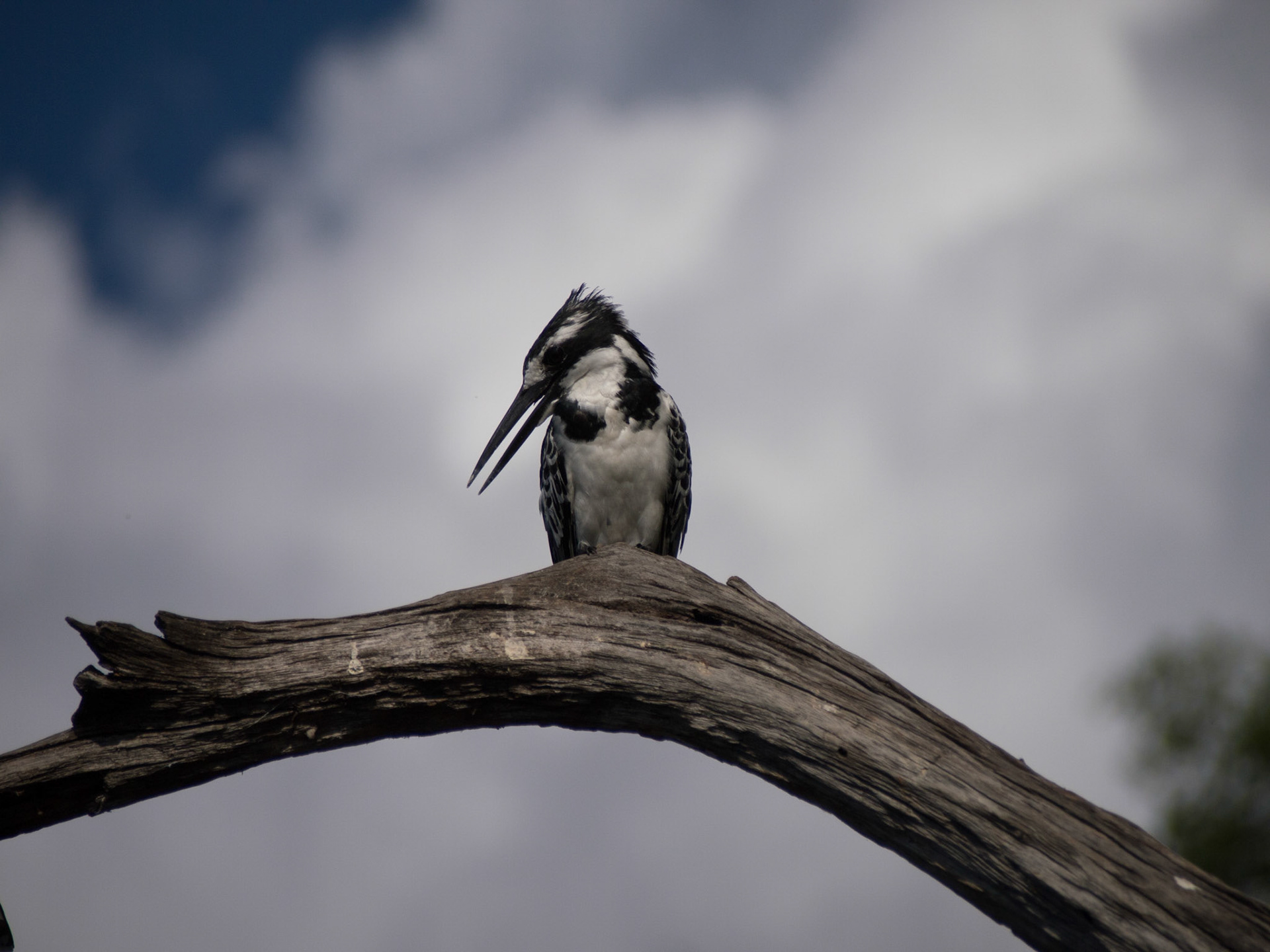, North West, Botswana [Apr 2014]