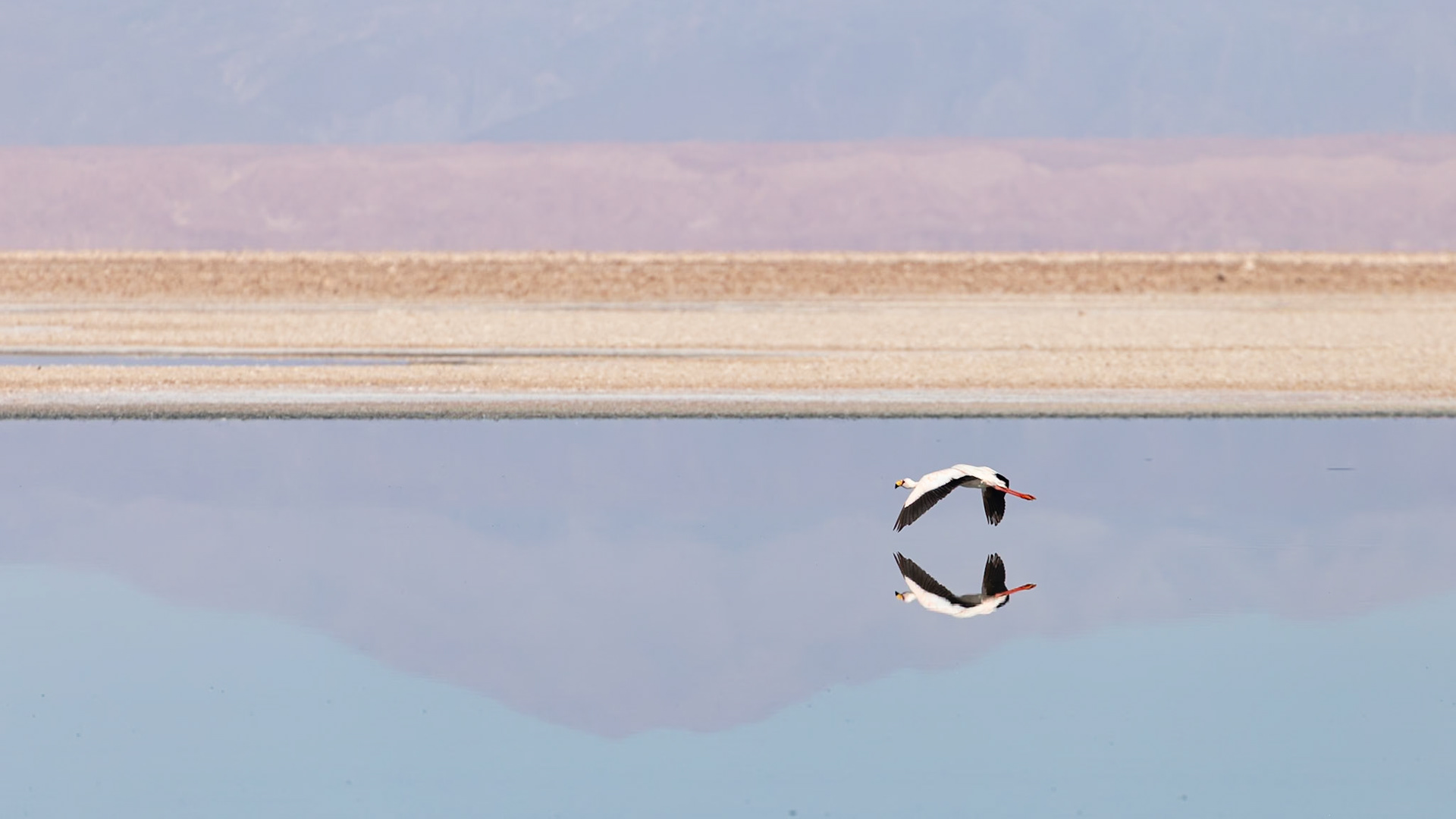 San Pedro de Atacama, Antofagasta, Chile [Jan 2024]