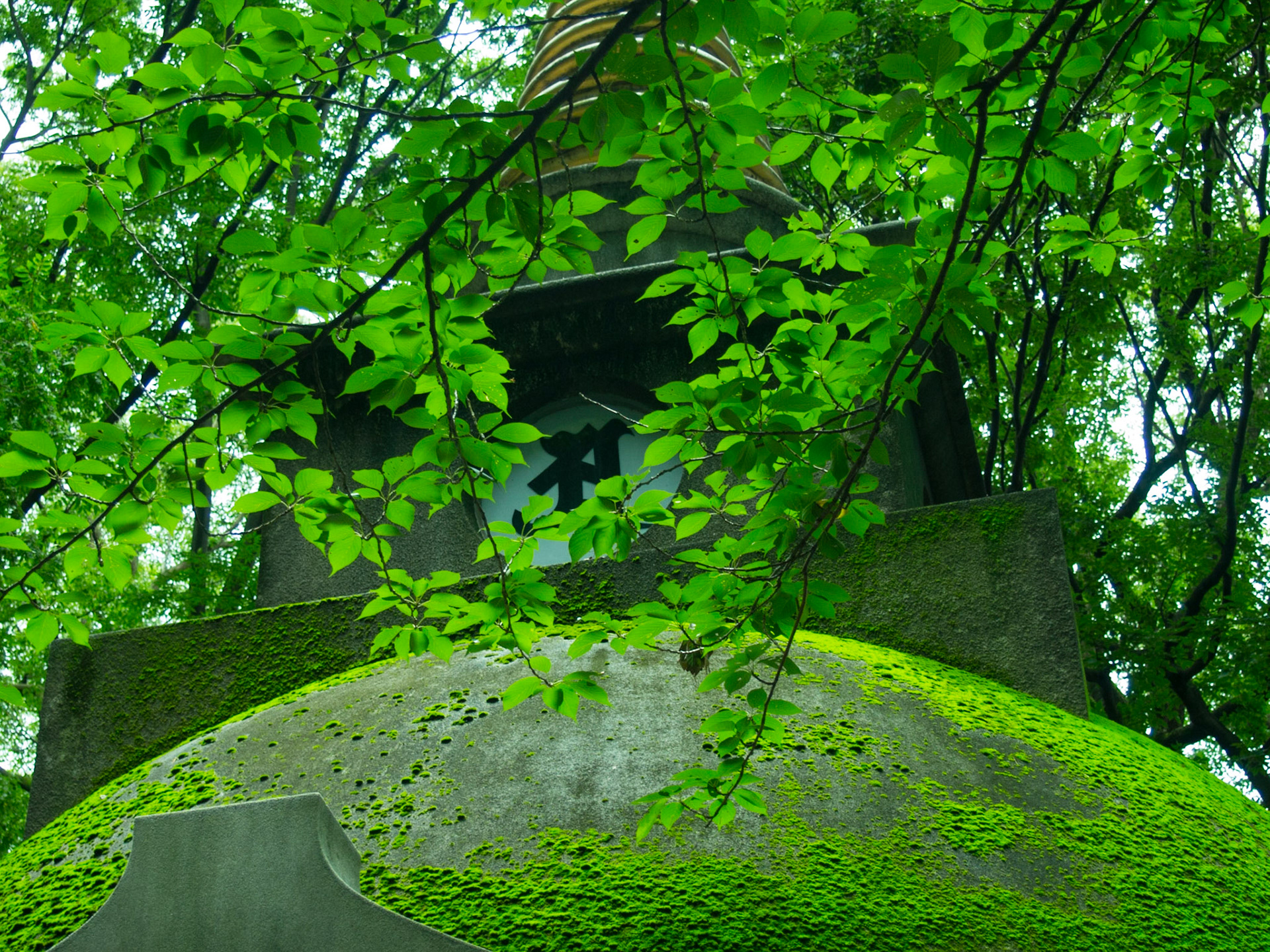 Tokyo, Tokyo Prefecture, Japan [Jul 2014]