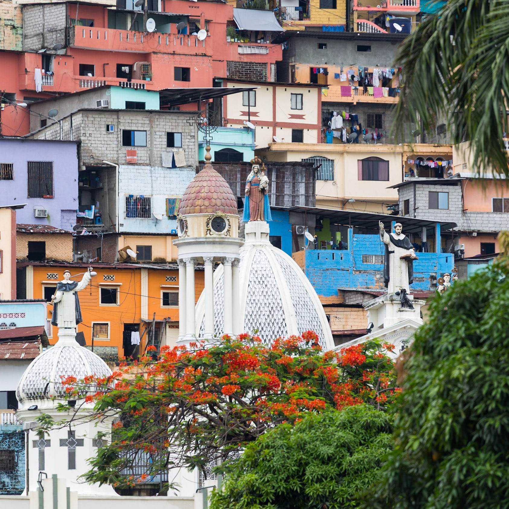 Guayaquil, Guayas, Ecuador [Mar 2022]