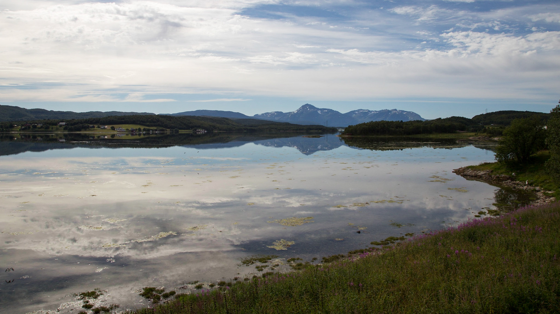 Mestervik, Troms, Norway [Jul 2022]