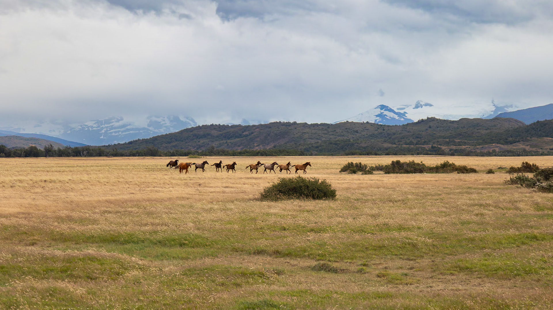 Torres del Paine, Magellan and the Chilean Antarctic, Chile [Jan 2024]