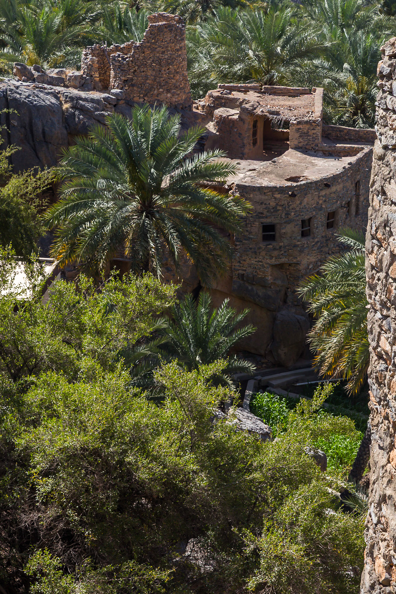 Al Hamra, Ad Dakhiliyah Governorate, Oman [Mar 2018]