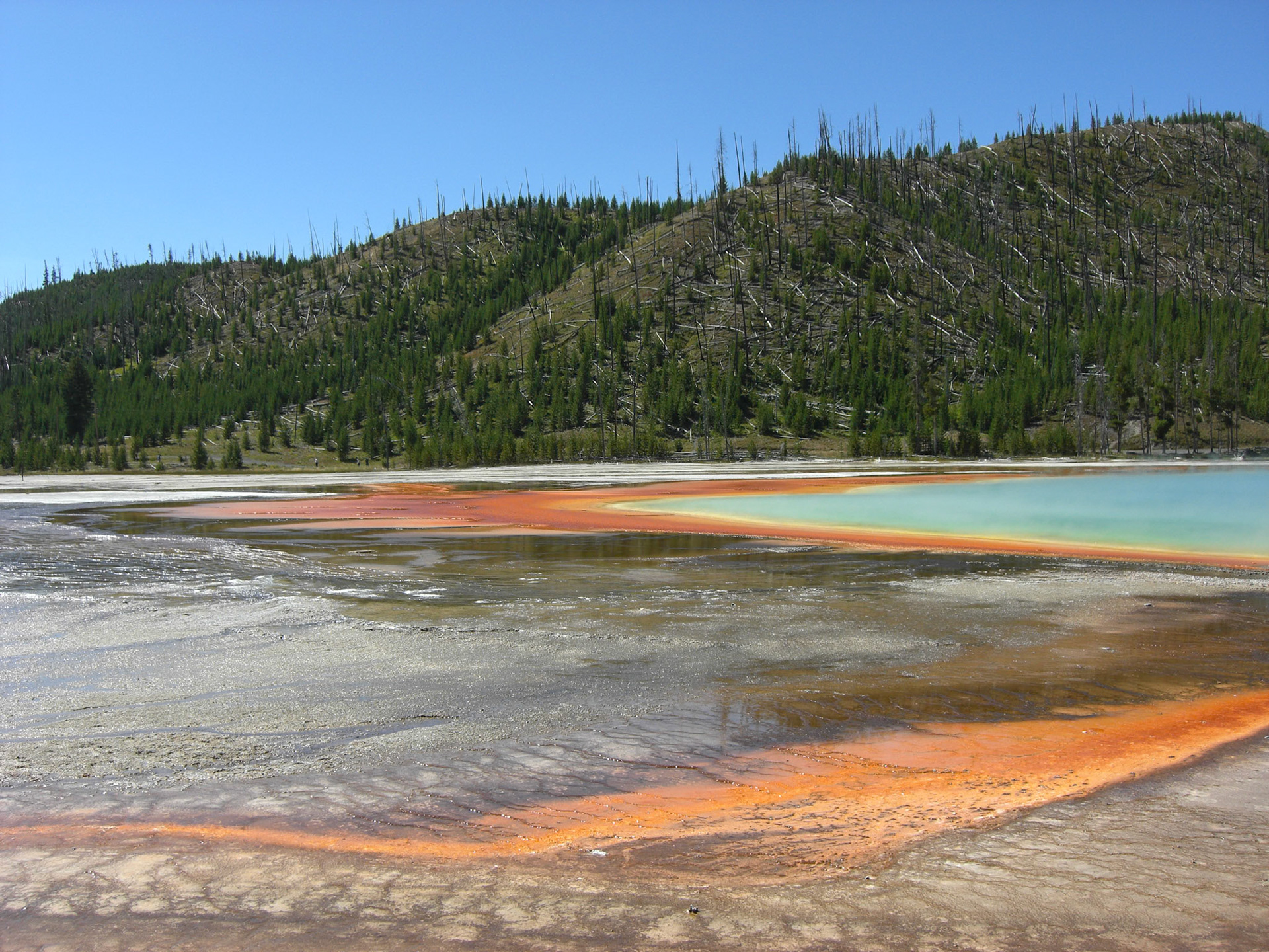 Yellowstone National Park, Wyoming, United States [Aug 2008]