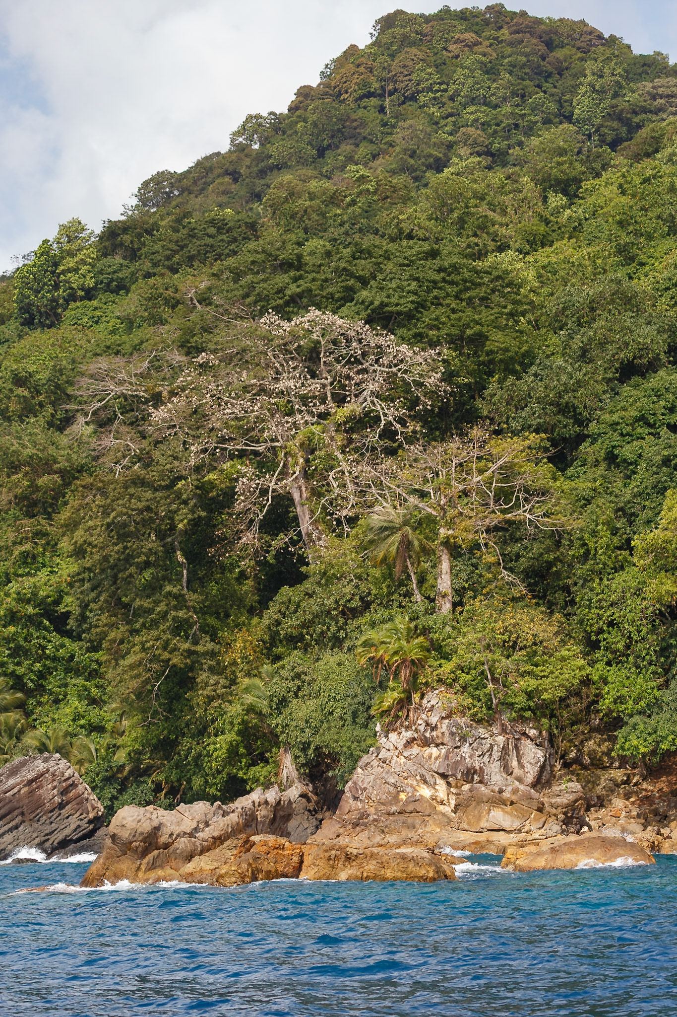 , Pagué, São Tomé and Príncipe [Feb 2026]