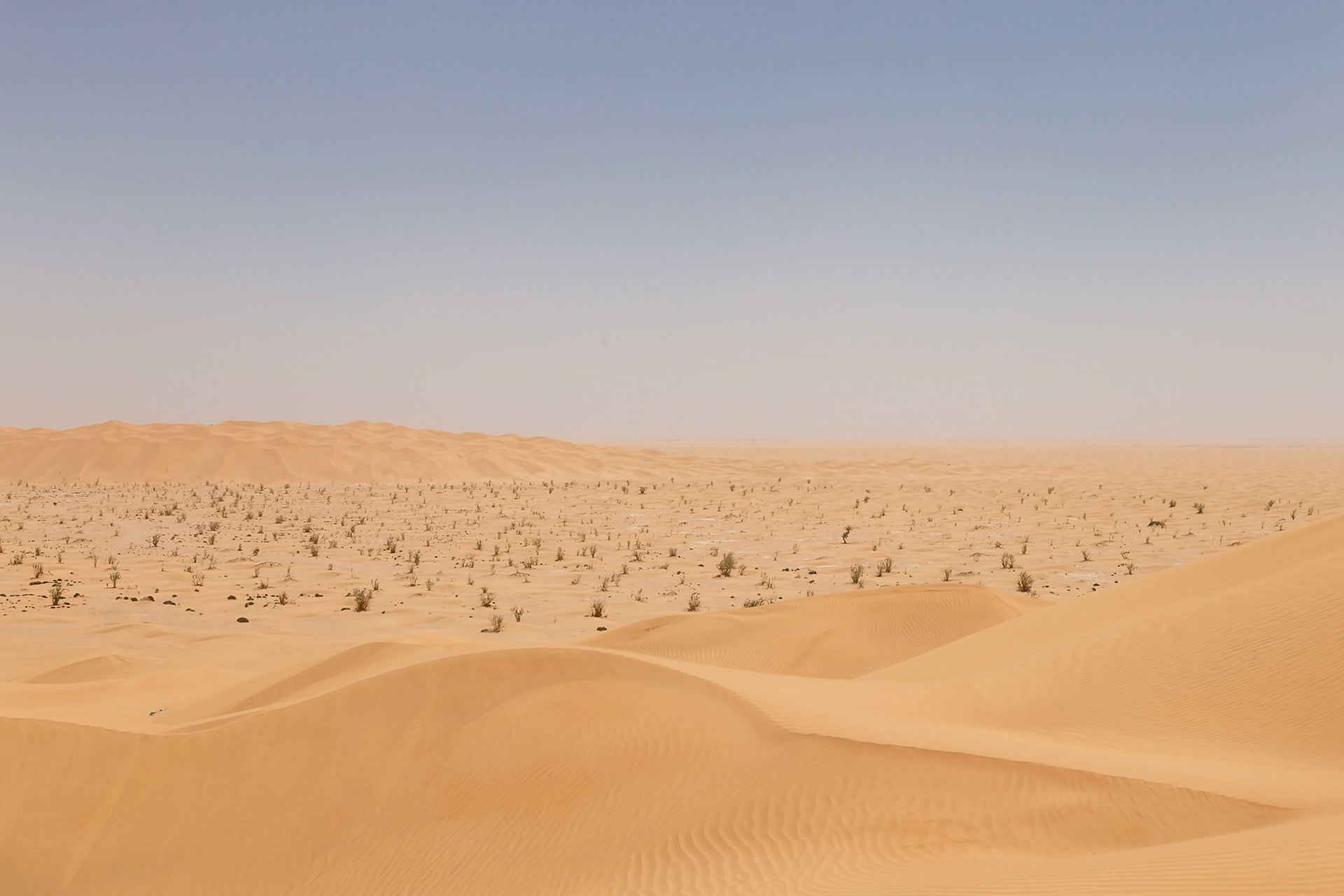 Thumrait, Dhofar Governorate, Oman [Mar 2018]