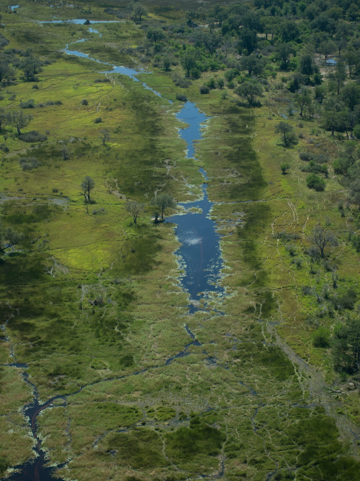 , North West, Botswana [Apr 2014]