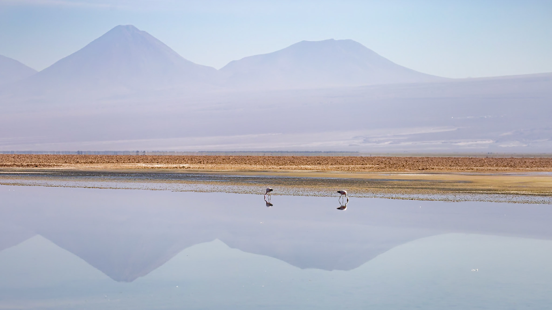 San Pedro de Atacama, Antofagasta, Chile [Jan 2024]