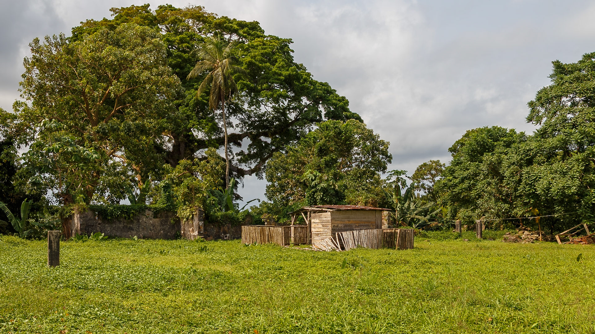 , Pagué, São Tomé and Príncipe [Feb 2026]