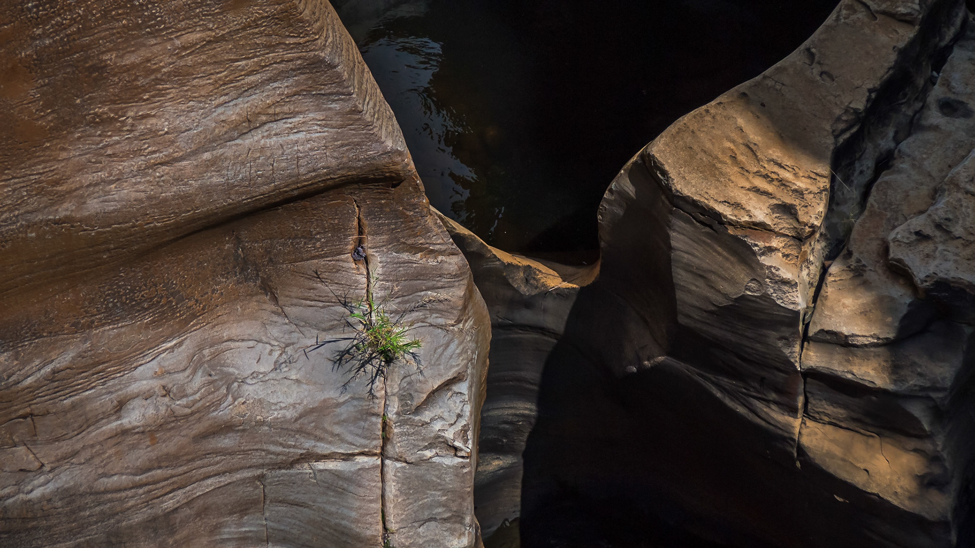 Blyde, Ohrigstad, Limpopo, South Africa [Mar 2016]