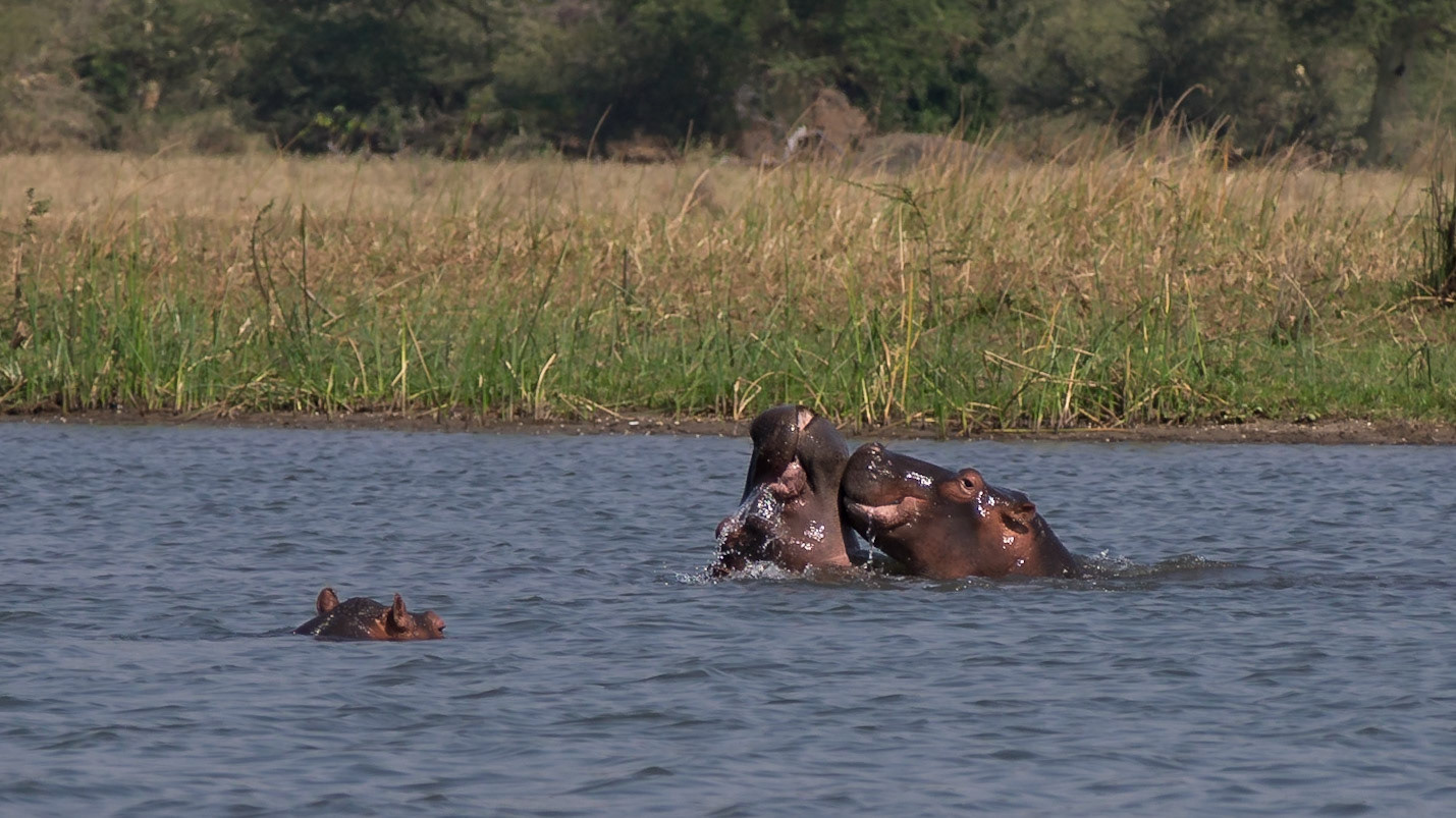 Liwonde, Southern Region, Malawi [Aug 2016]