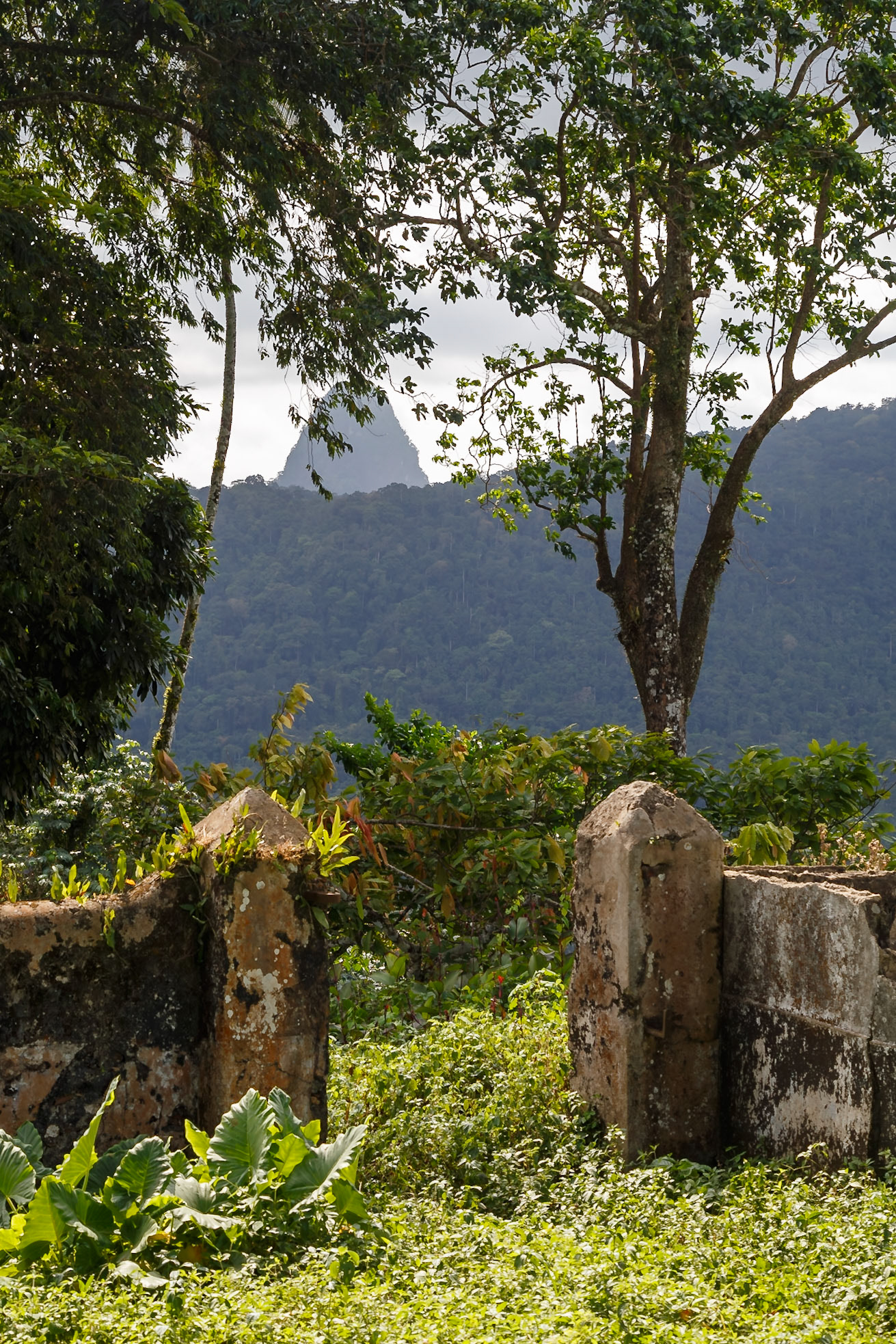 , Pagué, São Tomé and Príncipe [Feb 2026]